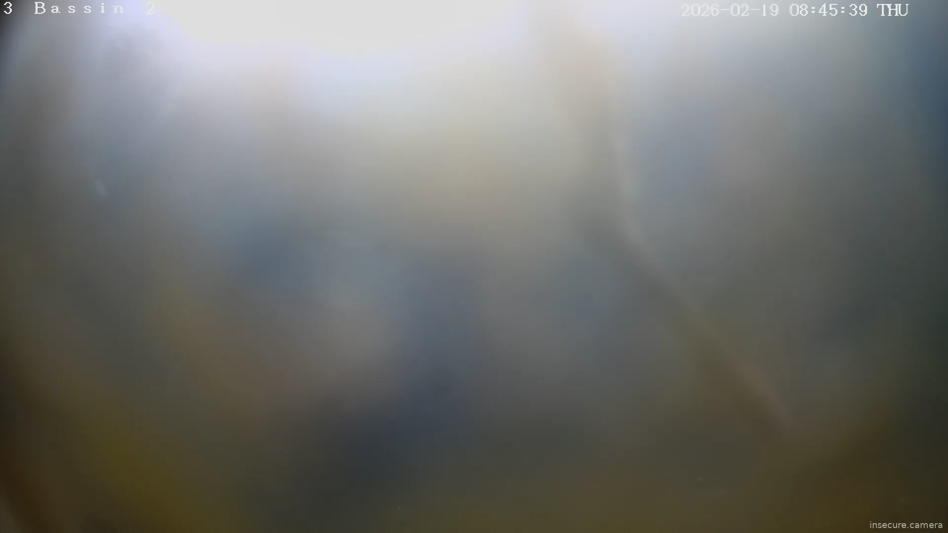 Capture from Feb 19, 2026 at 01:47 PM