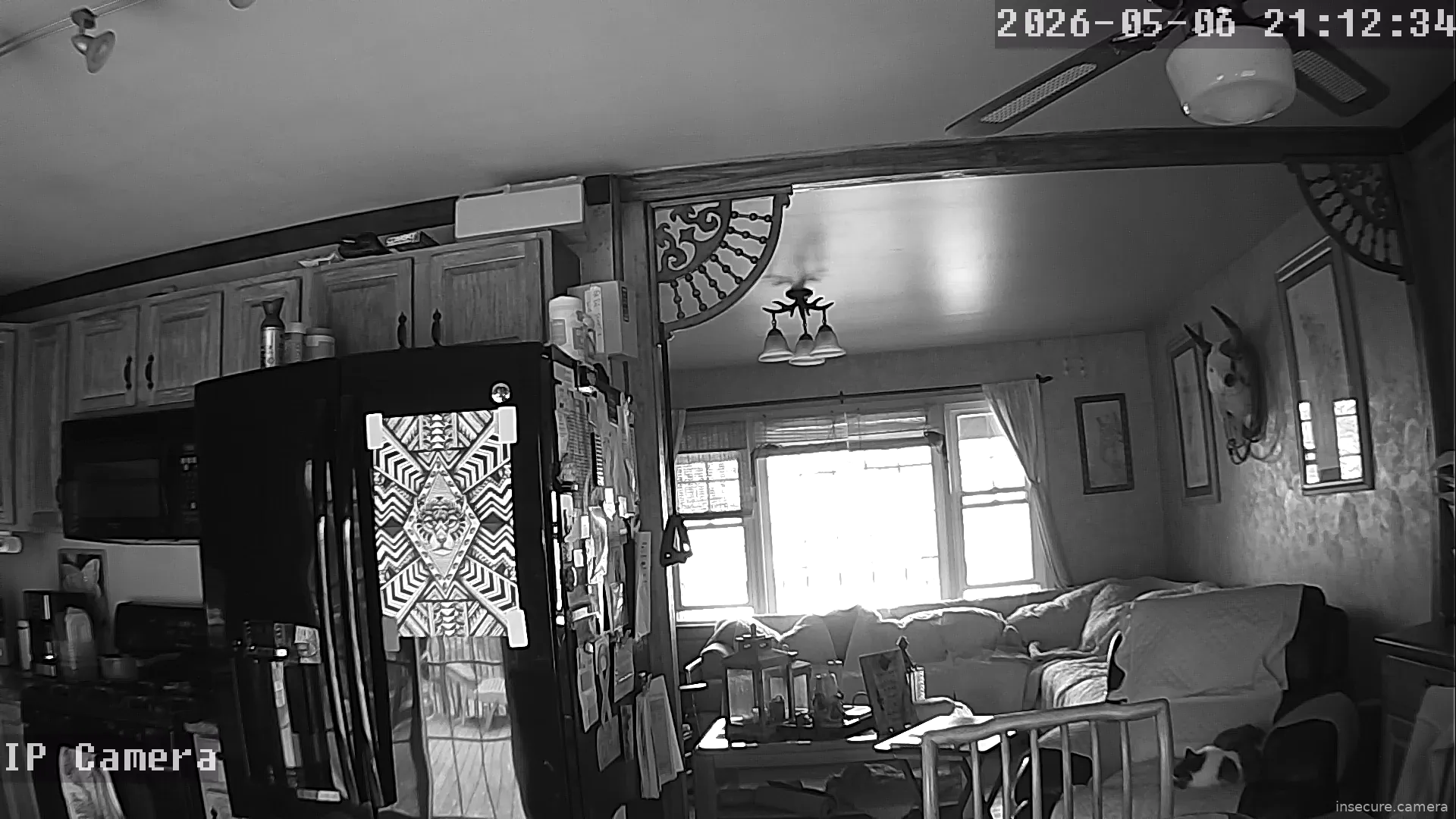 Camera in United States