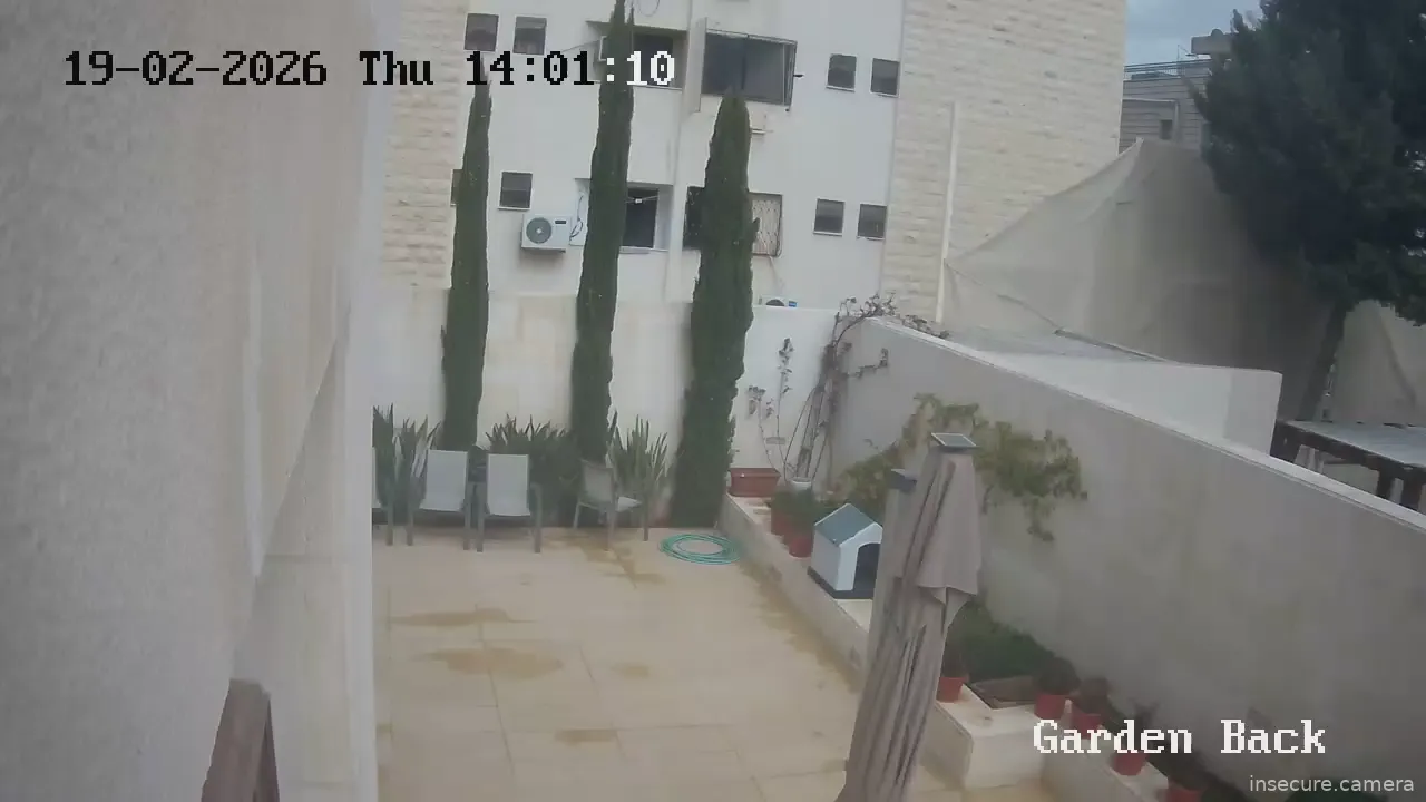 Capture from Feb 19, 2026 at 11:00 AM