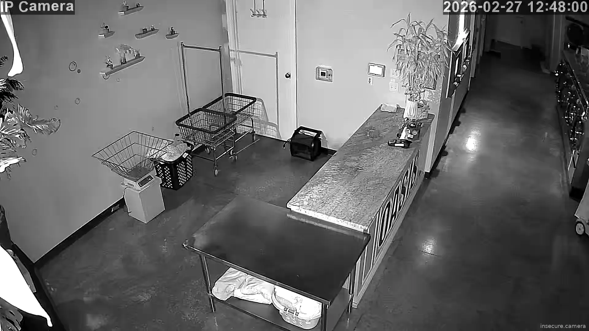 Capture from Feb 27, 2026 at 04:48 AM