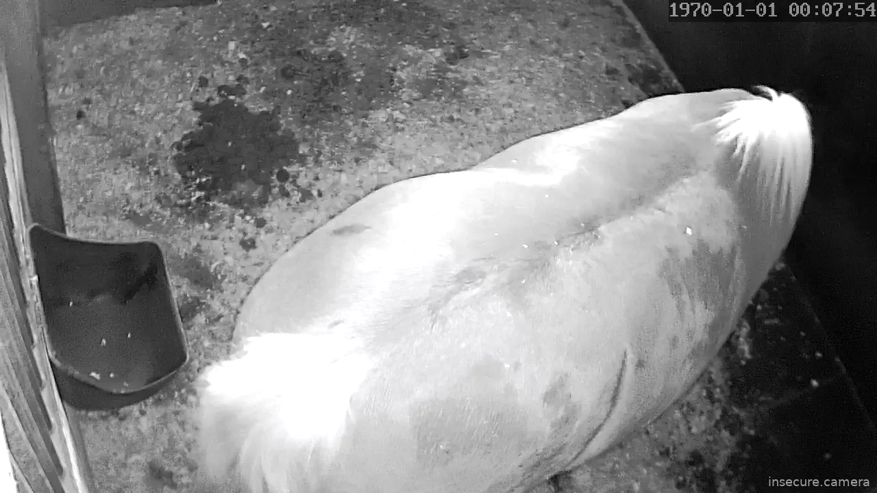 Capture from Mar 15, 2026 at 01:30 AM