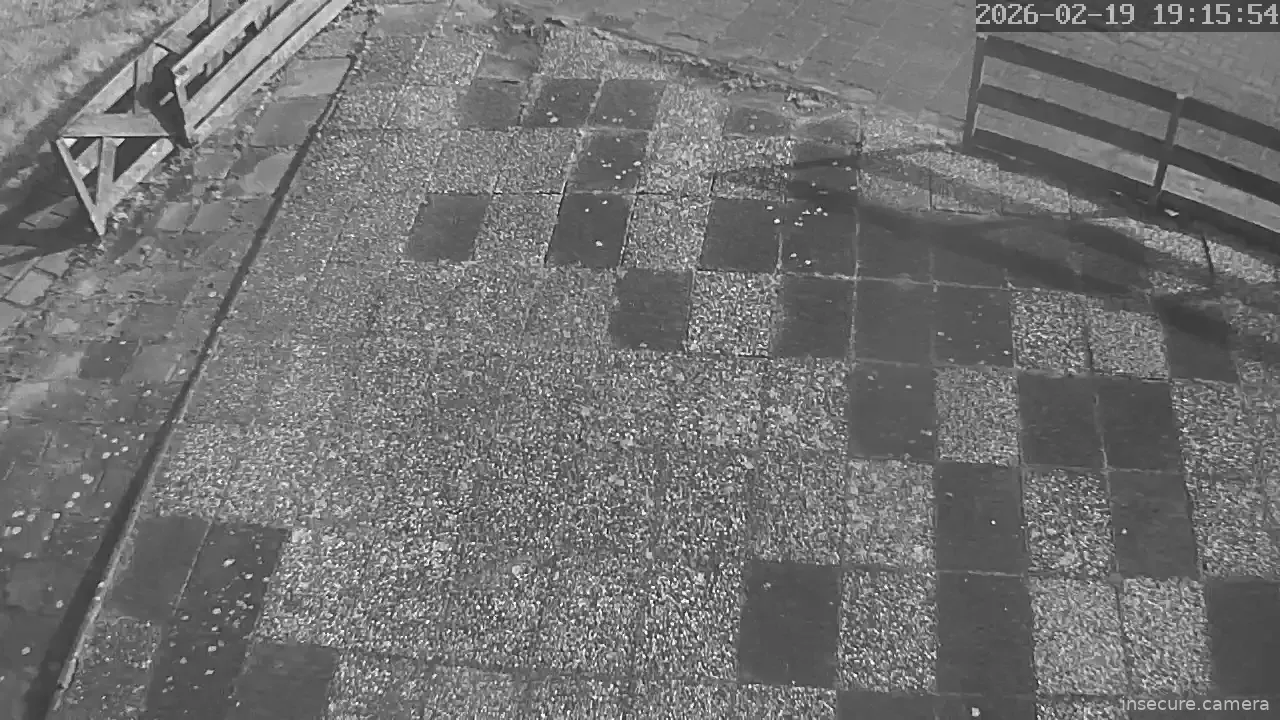 Capture from Feb 19, 2026 at 11:16 AM