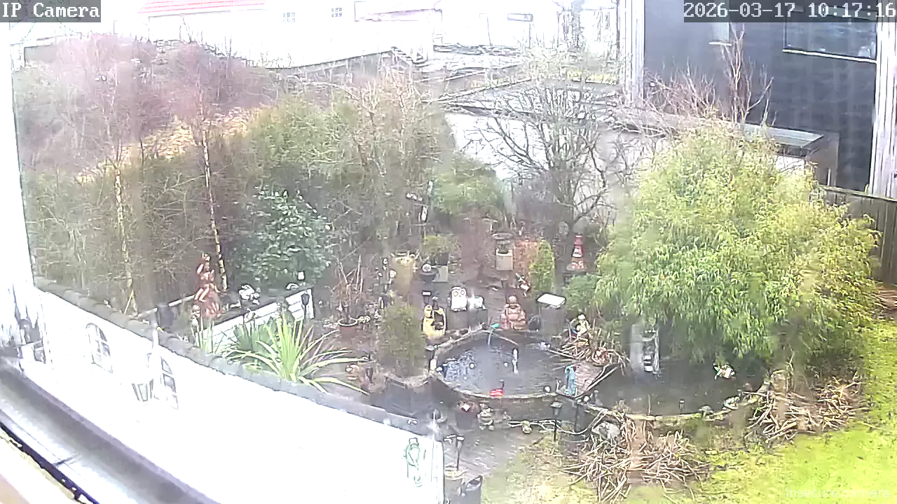 Capture from Mar 17, 2026 at 08:17 AM