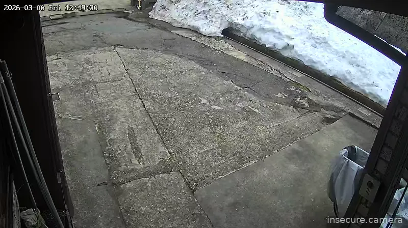 Capture from Mar 06, 2026 at 03:49 AM