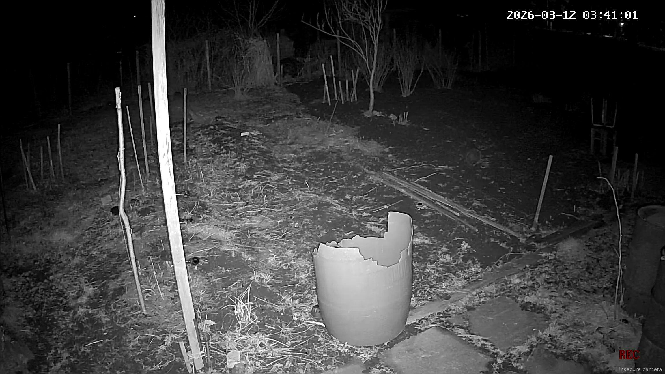 Capture from Mar 12, 2026 at 01:41 AM