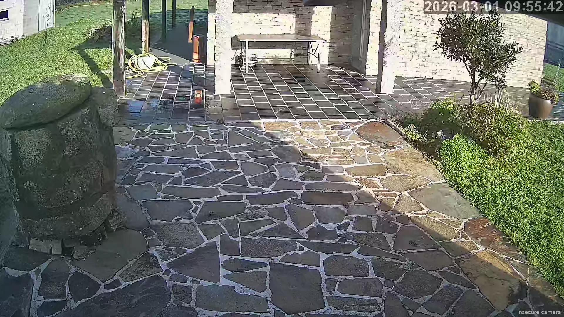 Capture from Mar 01, 2026 at 08:56 AM