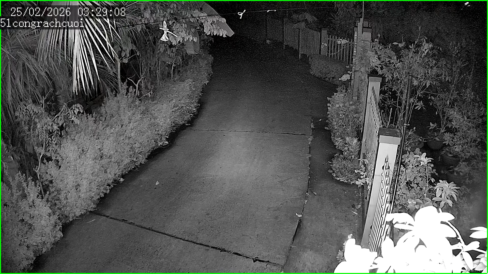 Capture from Feb 24, 2026 at 08:29 PM