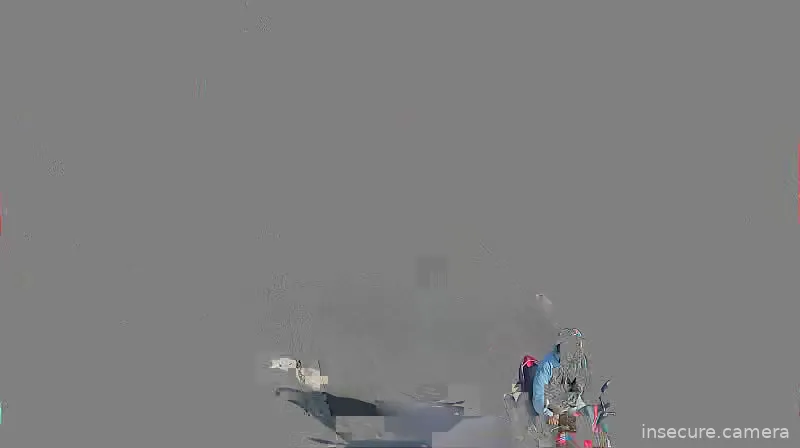 Capture from Feb 19, 2026 at 01:13 AM