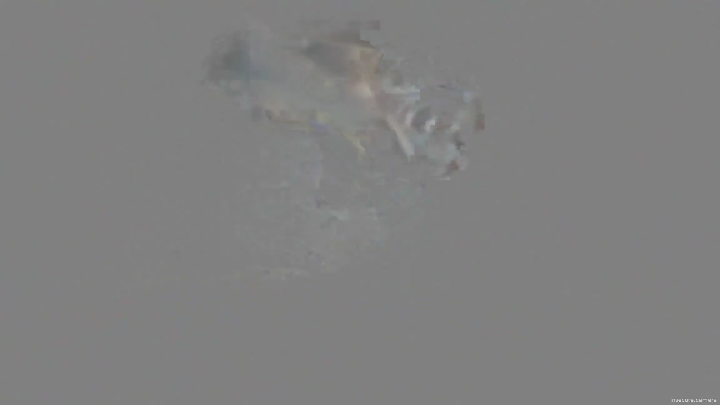 Capture from May 18, 2026 at 04:17 AM