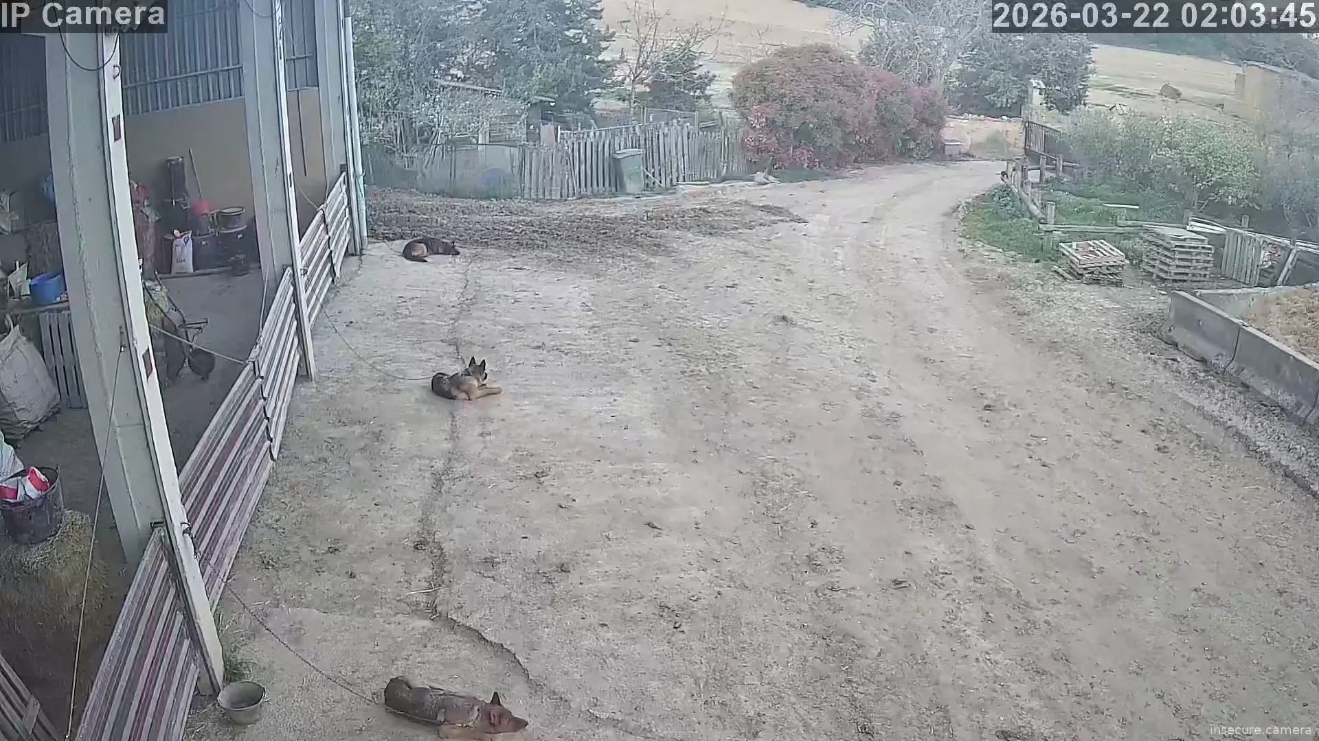 Capture from Mar 21, 2026 at 06:04 PM