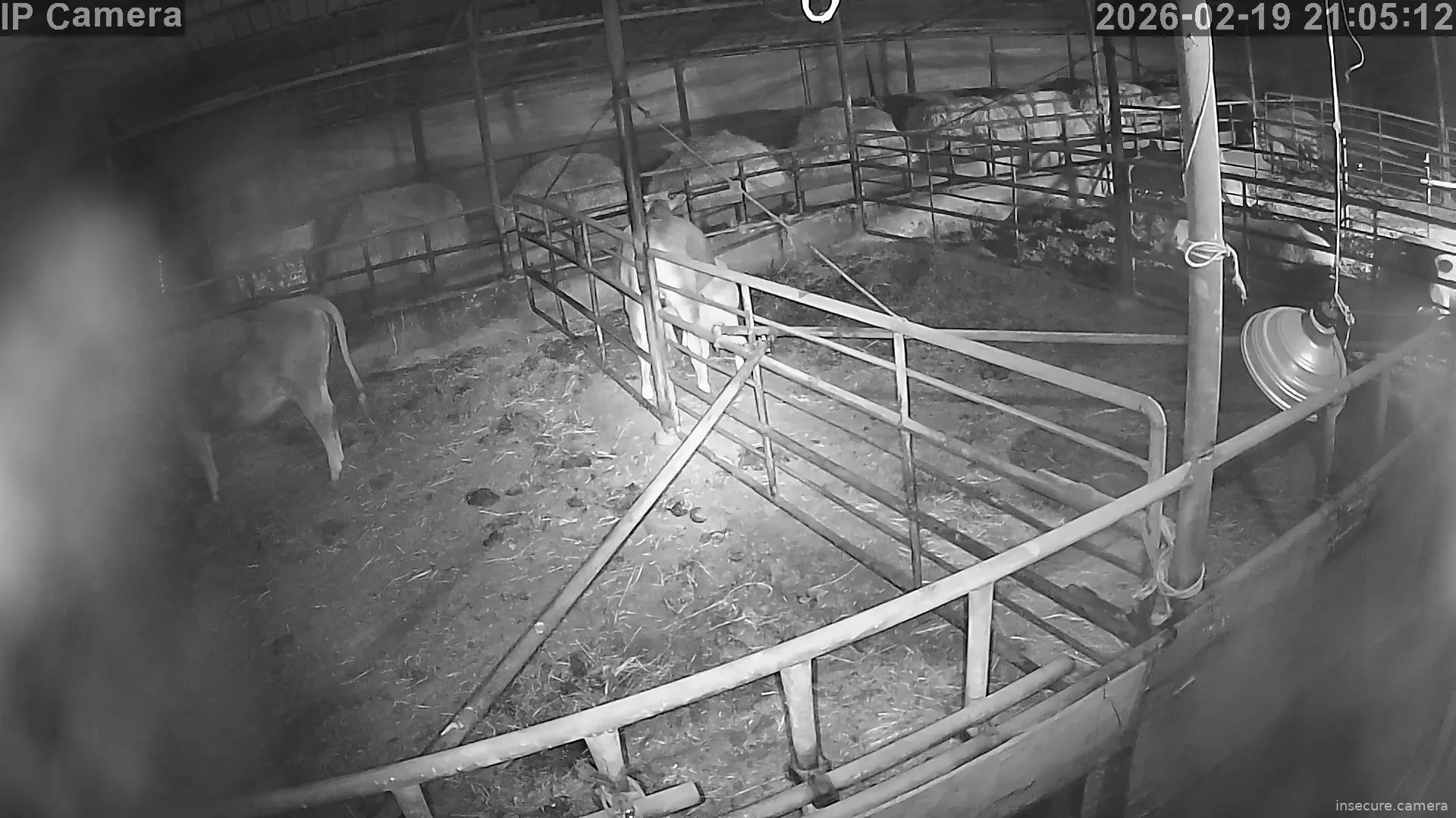 Capture from Feb 19, 2026 at 12:06 PM