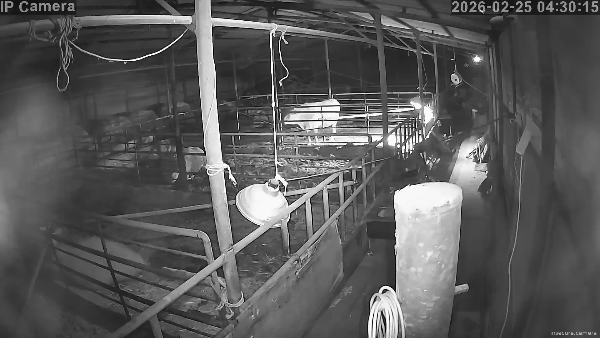 Capture from Feb 24, 2026 at 07:30 PM