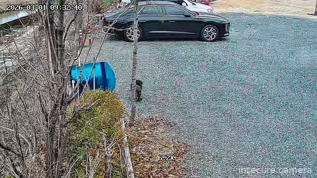 Camera in South Korea