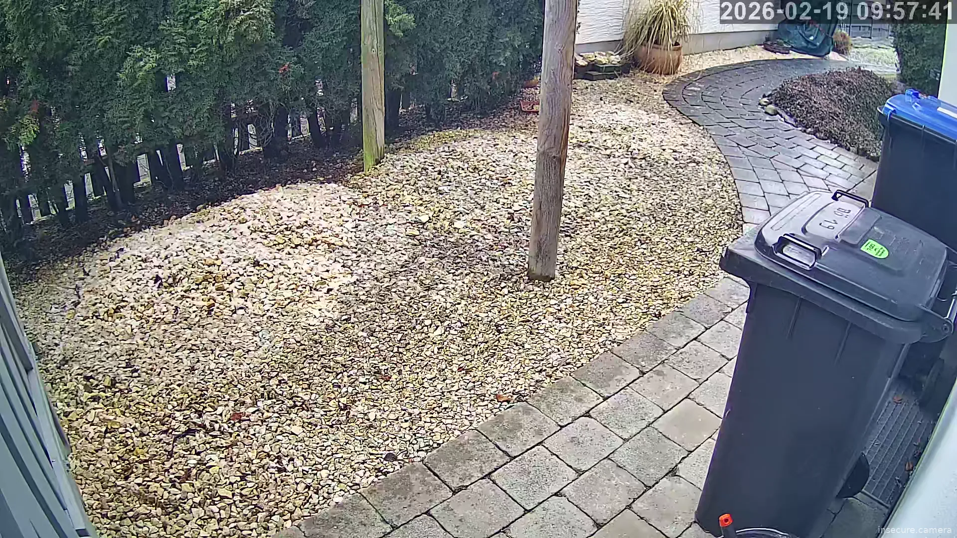 Capture from Feb 19, 2026 at 08:57 AM