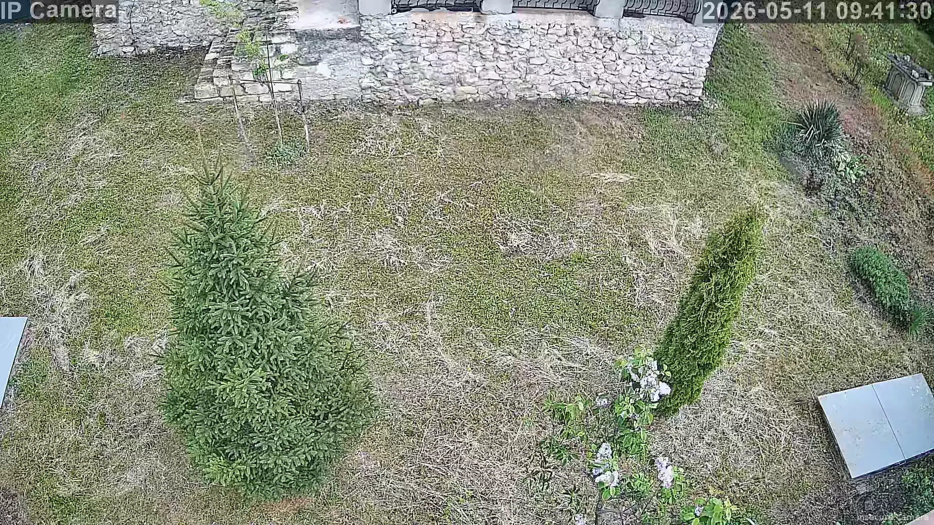 Capture from May 11, 2026 at 06:41 AM