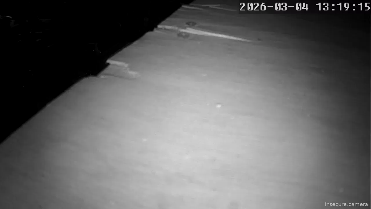 Capture from Mar 04, 2026 at 05:19 AM