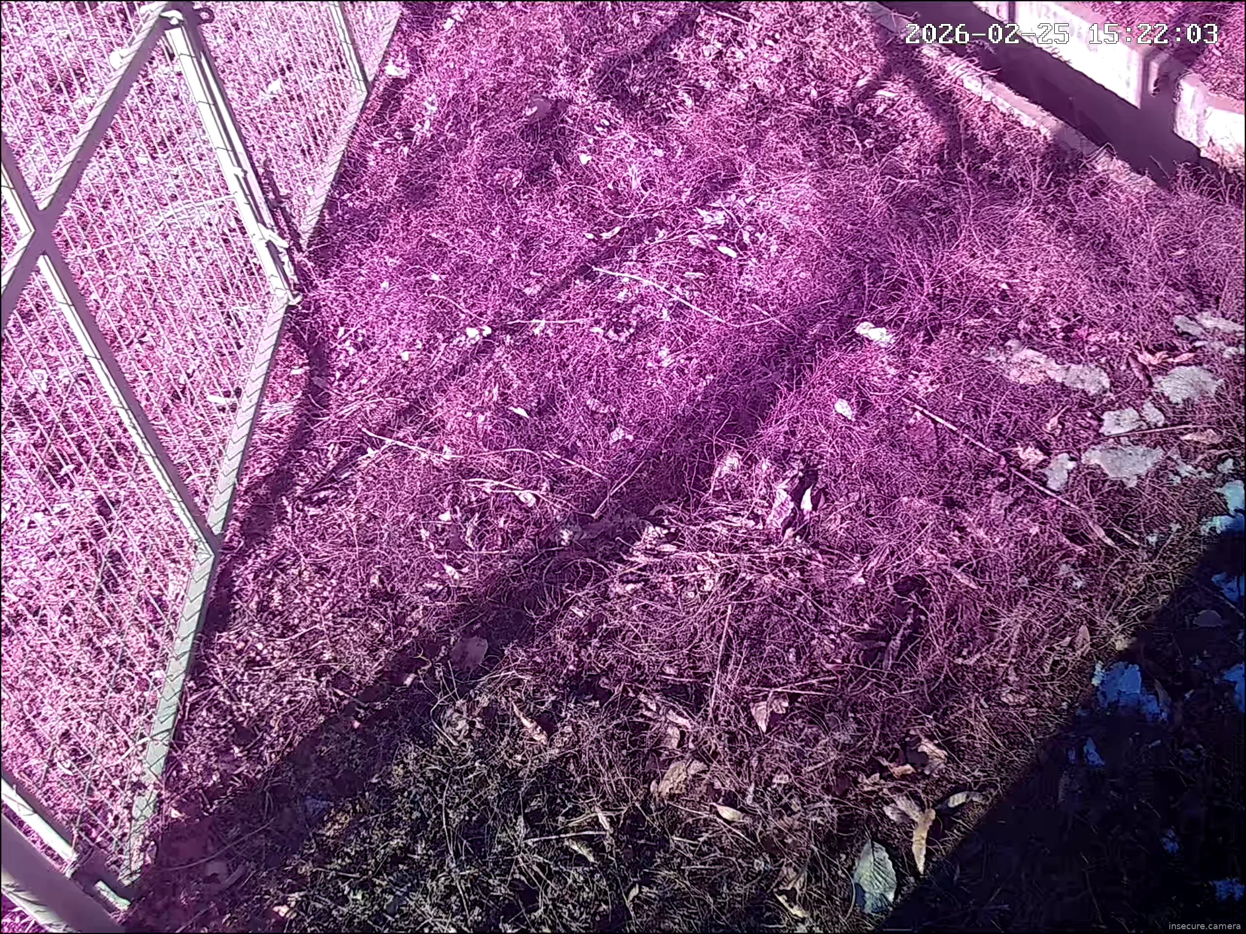 Capture from Feb 25, 2026 at 07:22 AM