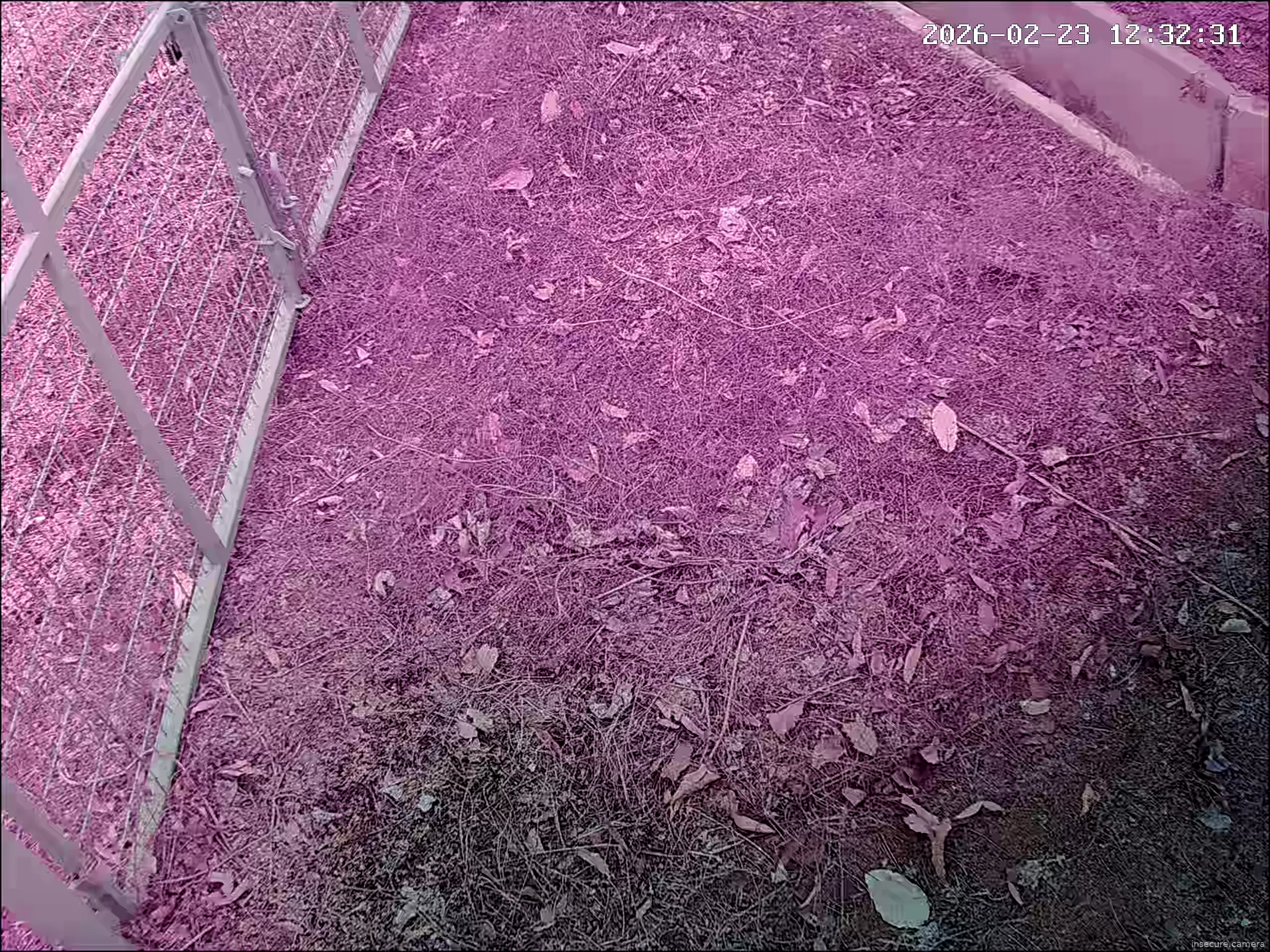 Capture from Feb 23, 2026 at 04:32 AM