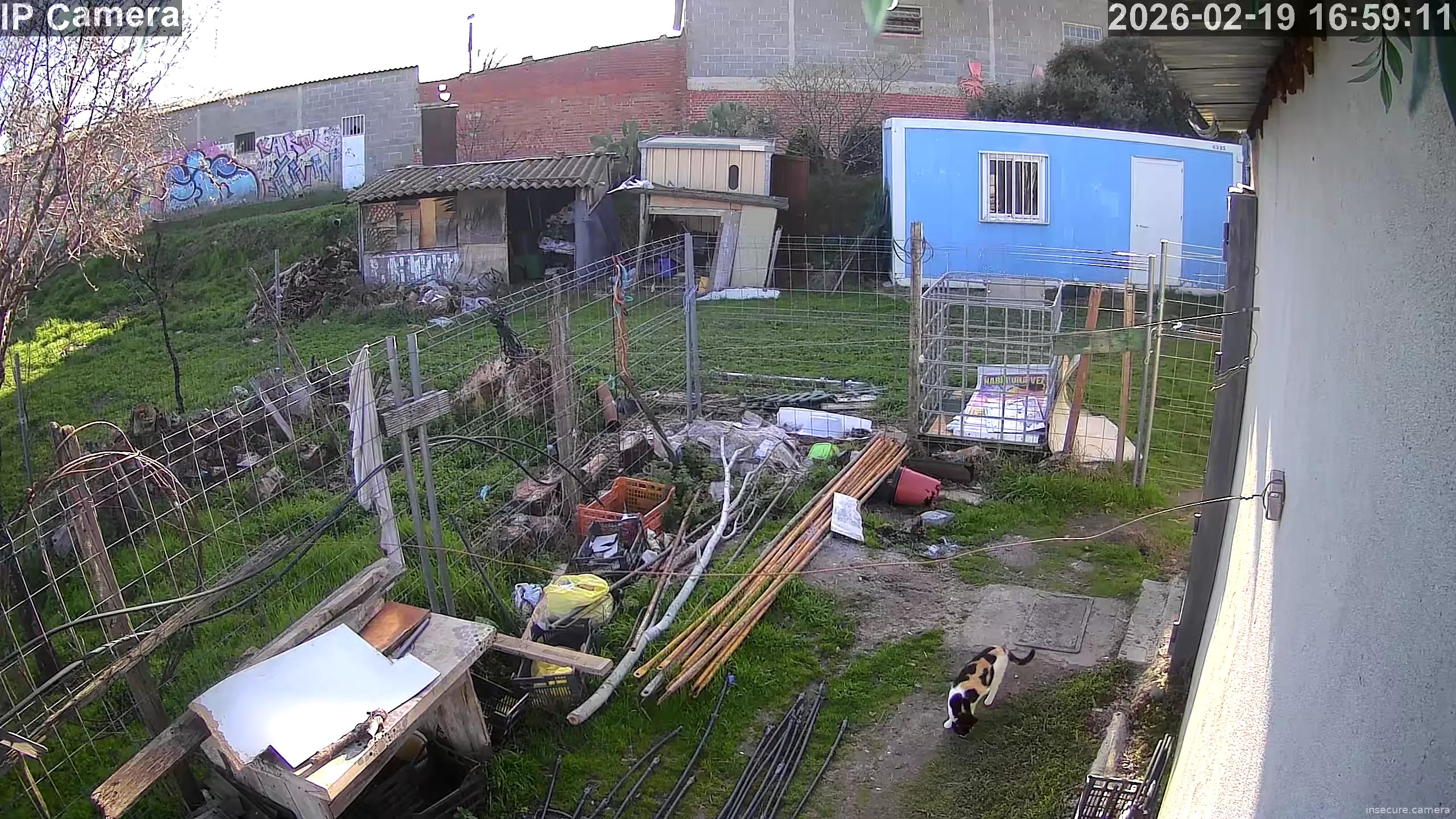 Capture from Feb 19, 2026 at 03:59 PM