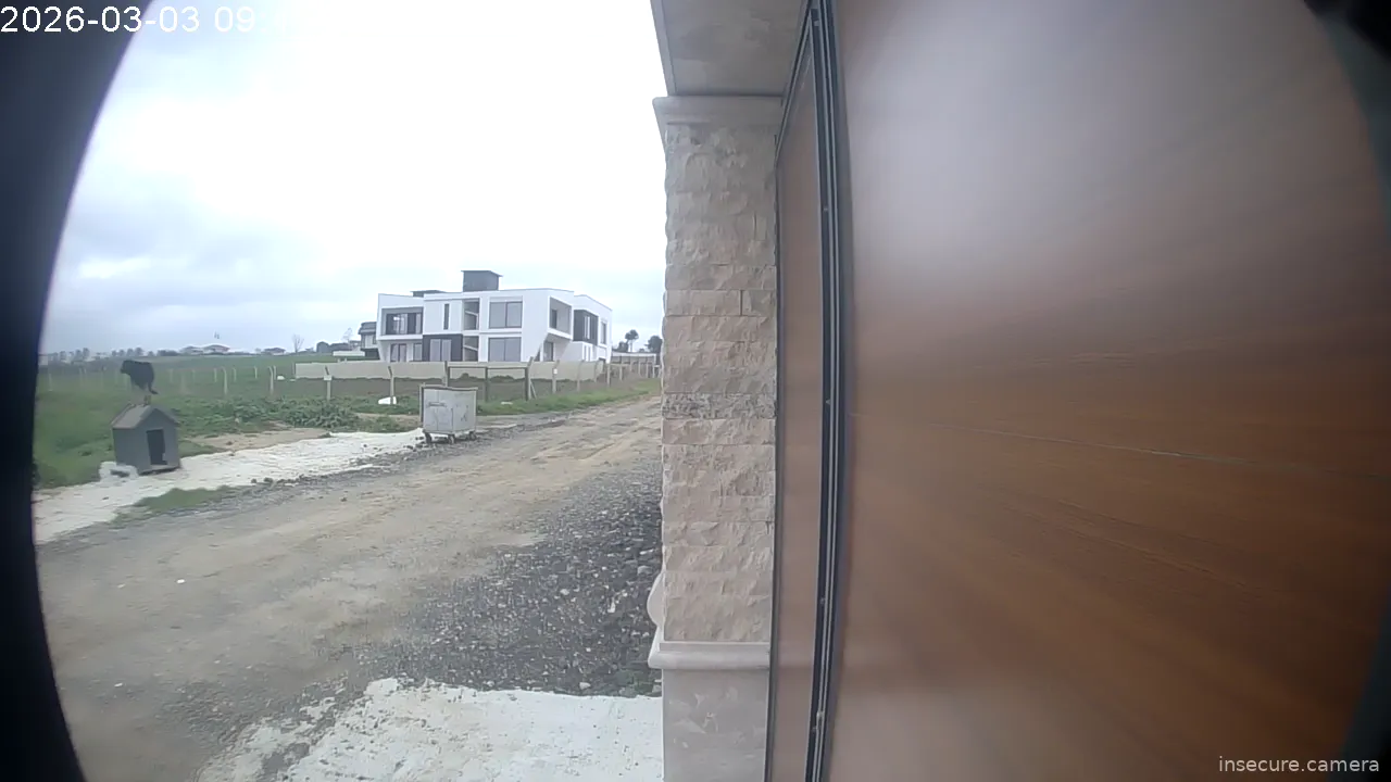 Capture from Mar 03, 2026 at 09:48 AM