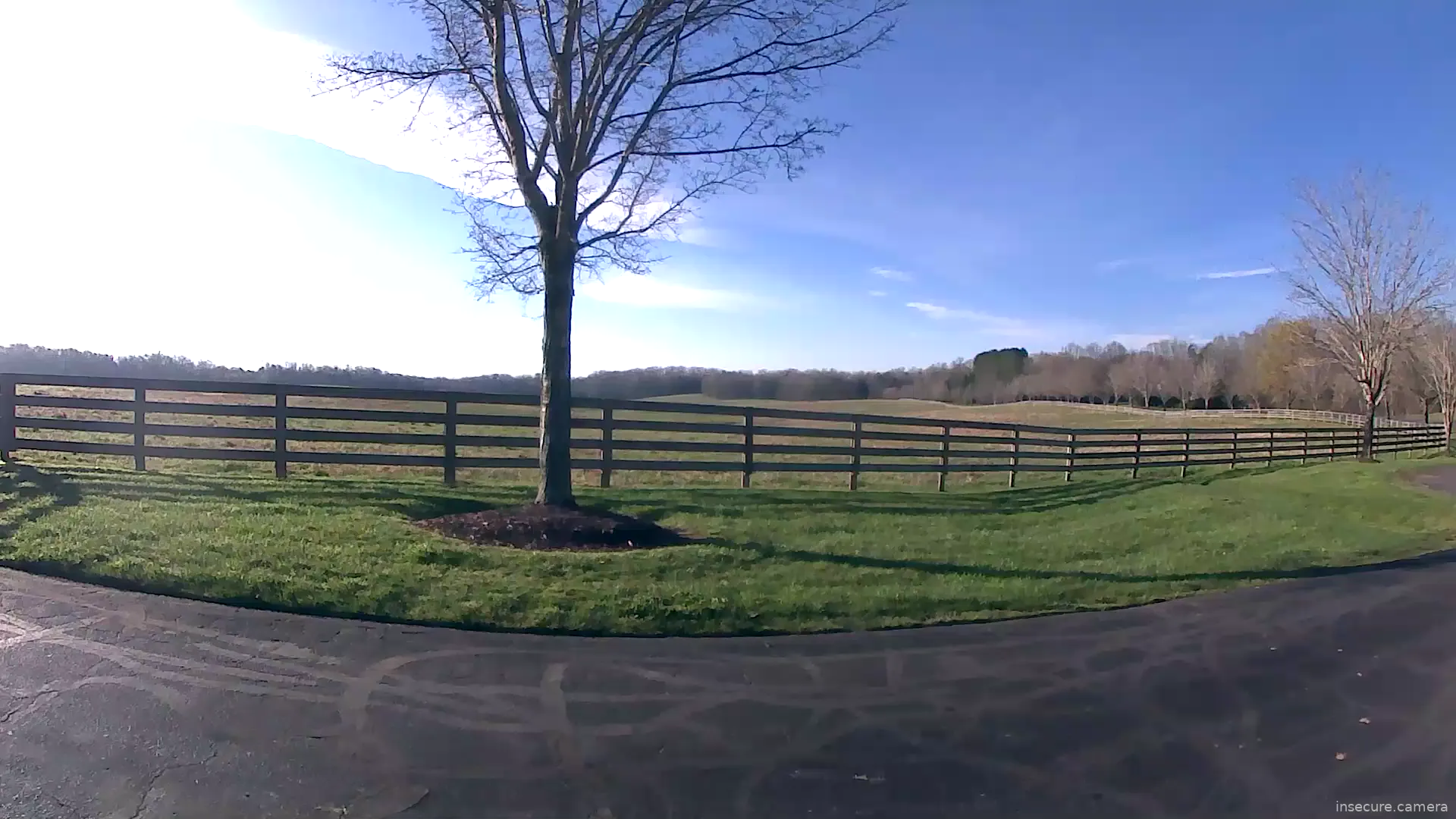 Camera in United States