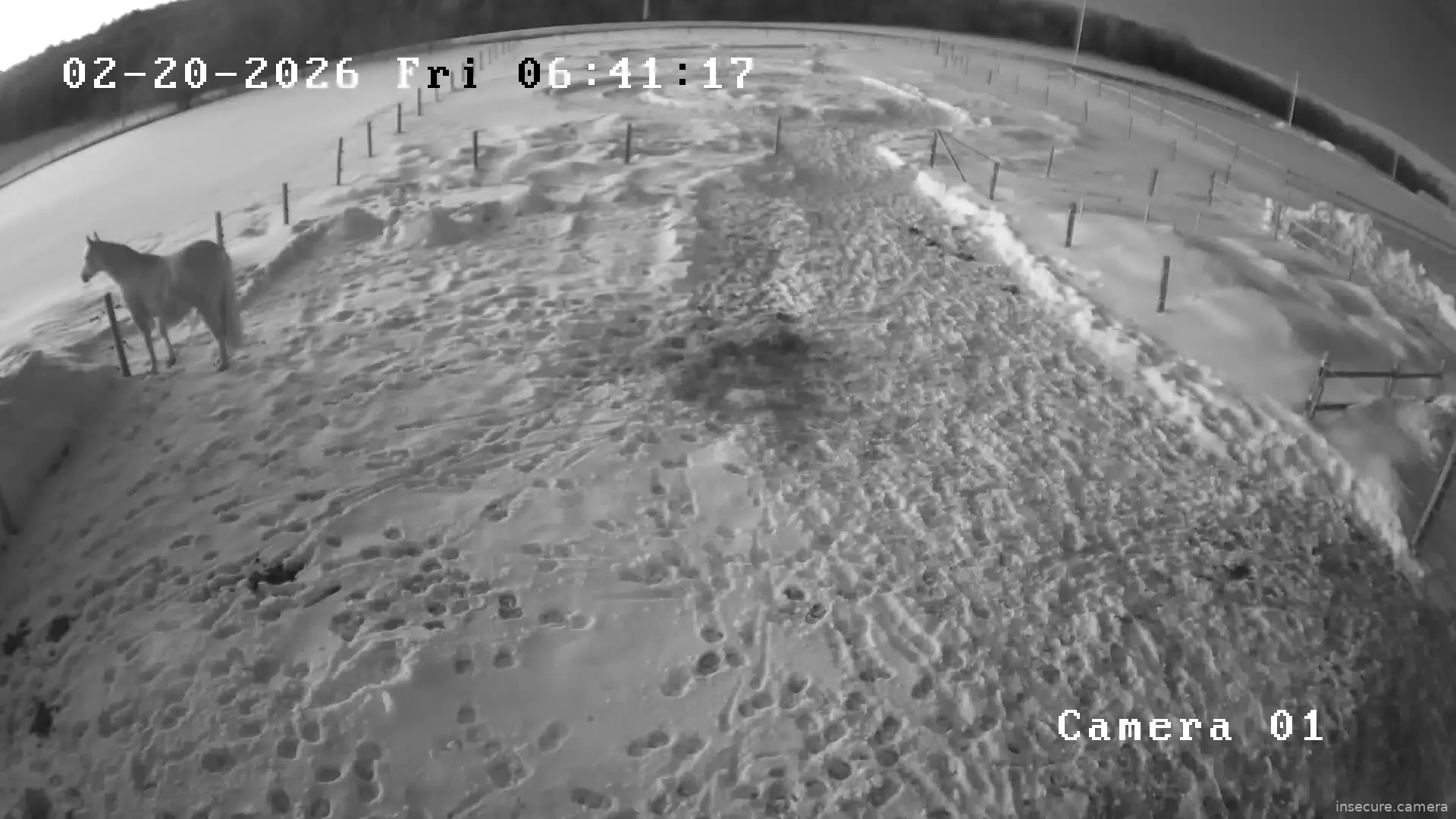 Capture from Feb 20, 2026 at 10:41 AM