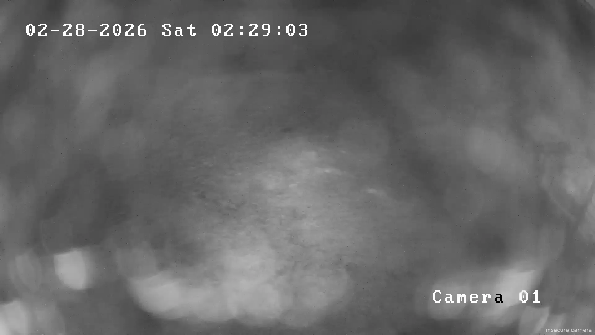 Capture from Feb 28, 2026 at 06:29 AM