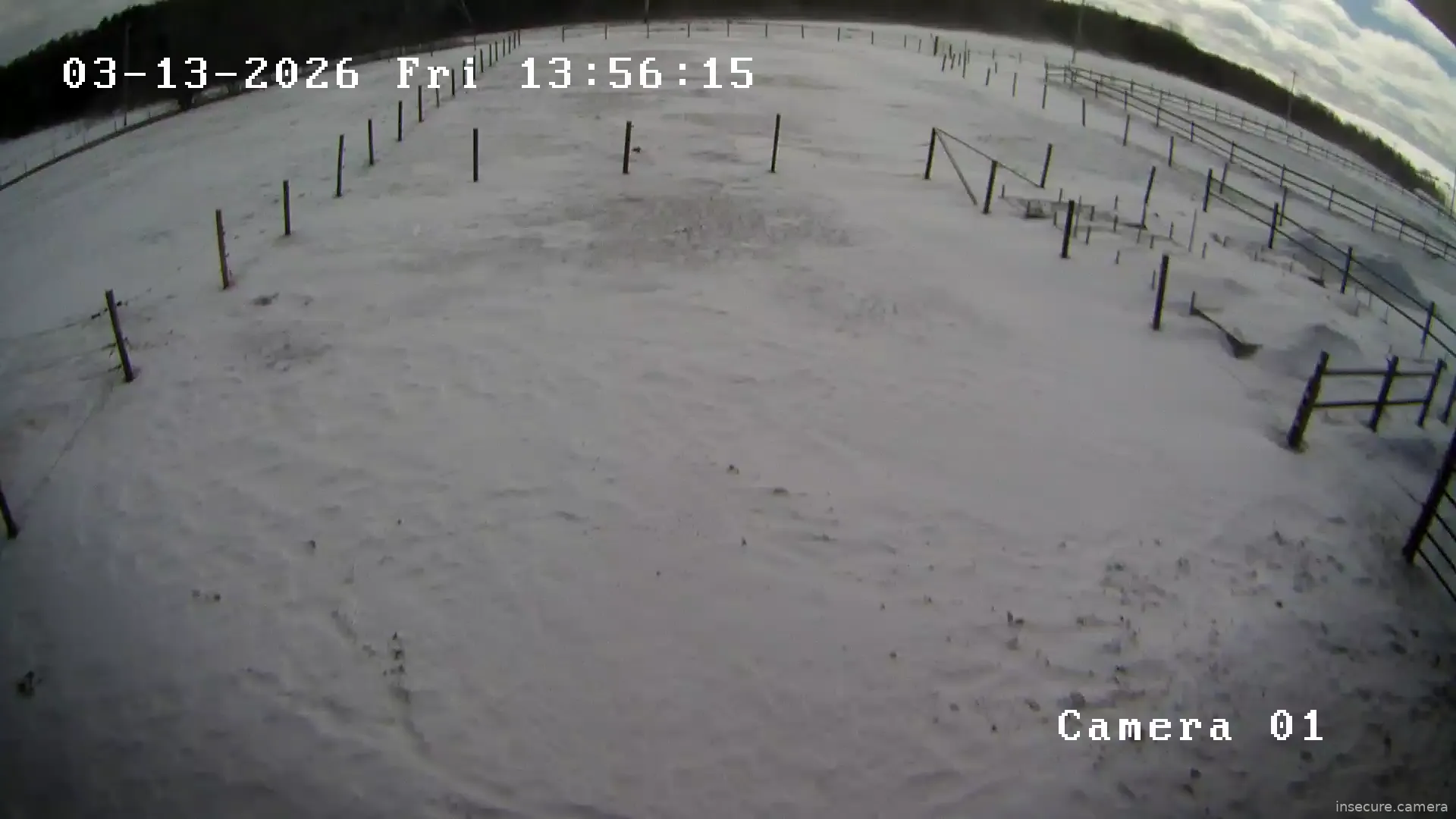 Capture from Mar 13, 2026 at 05:56 PM