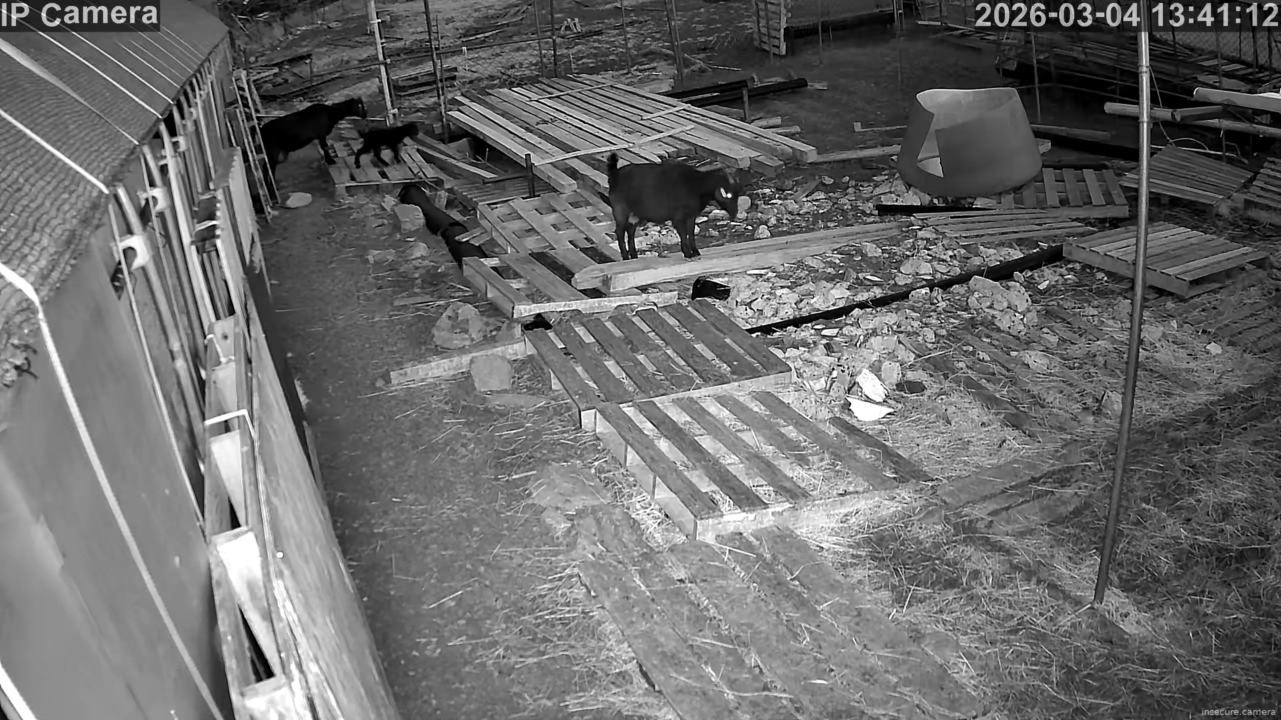 Capture from Mar 04, 2026 at 09:41 PM