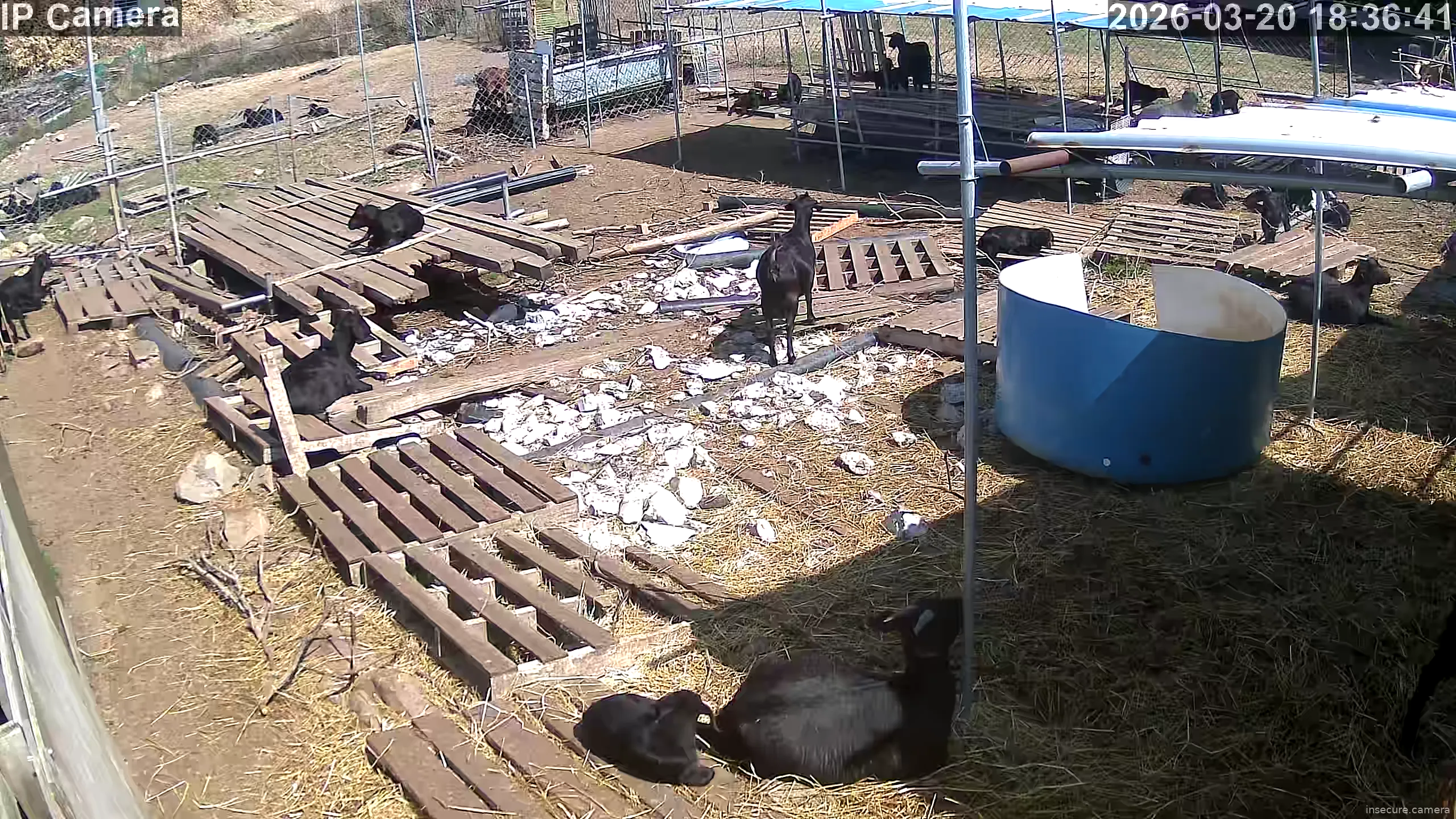 Camera in South Korea