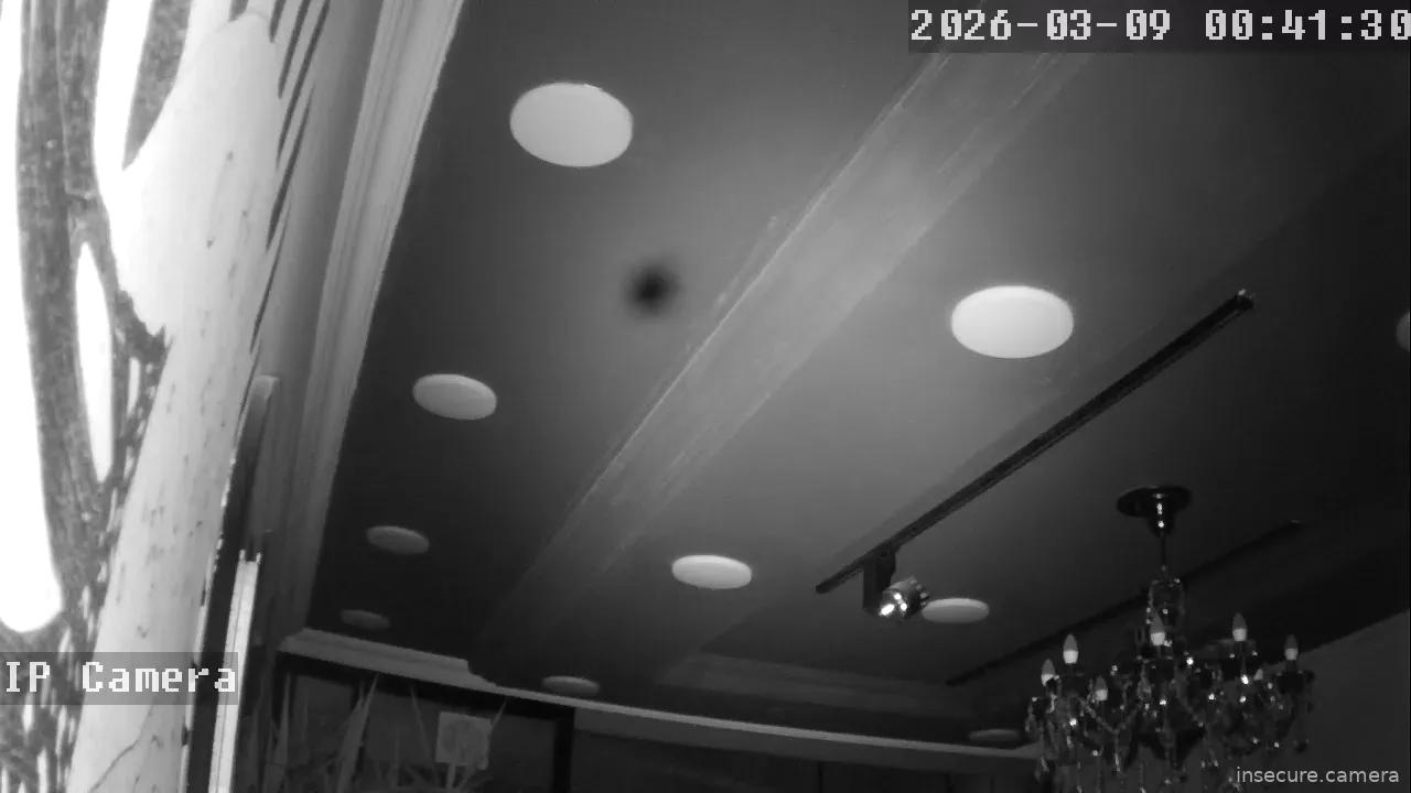 Capture from Mar 08, 2026 at 04:41 PM