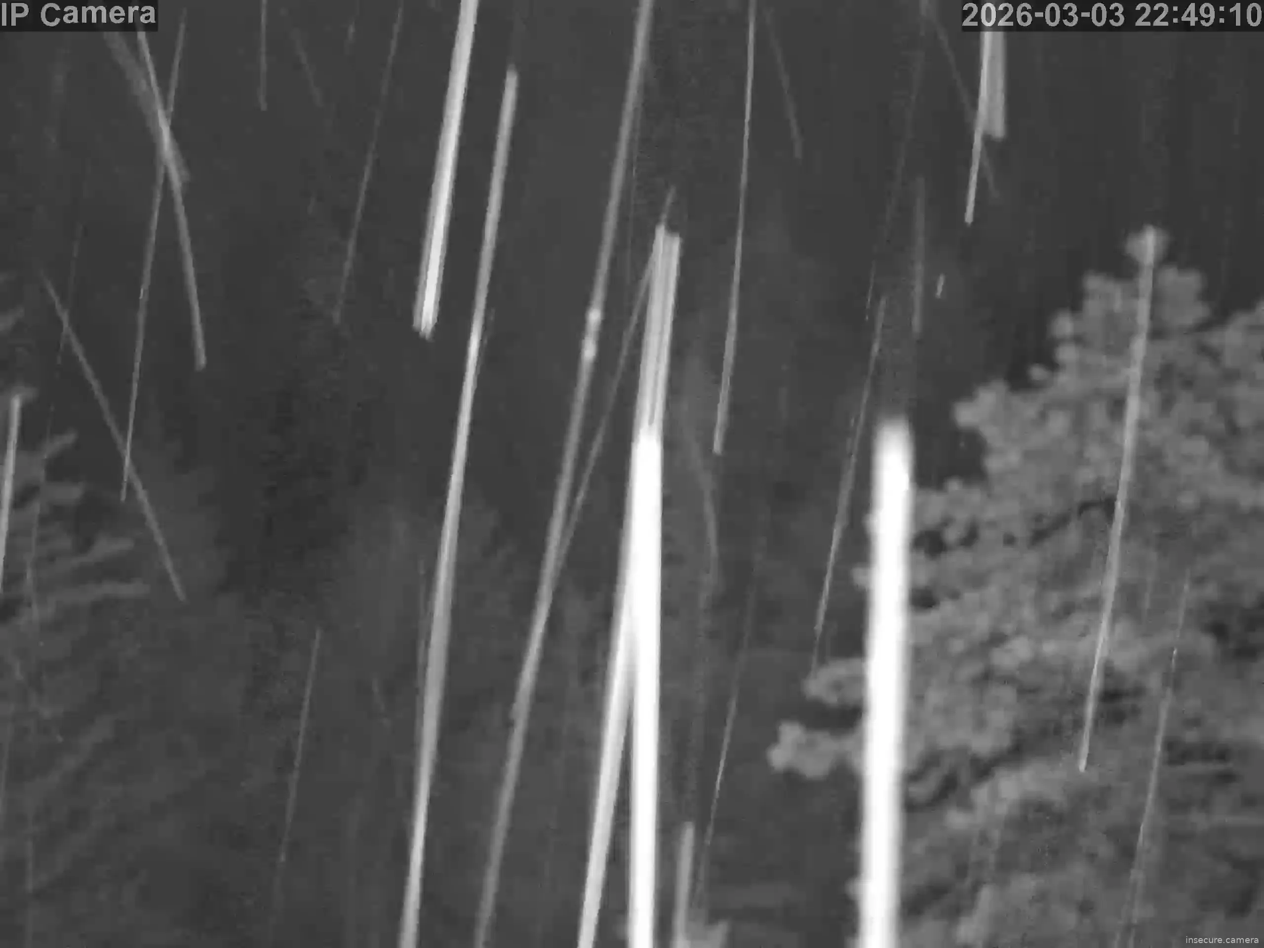 Capture from Mar 04, 2026 at 03:49 AM