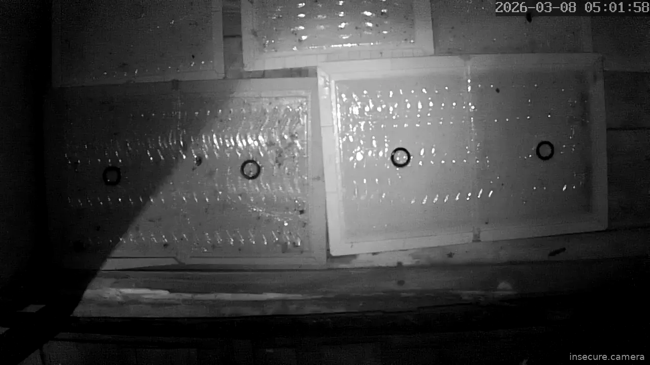 Capture from Mar 07, 2026 at 08:02 PM