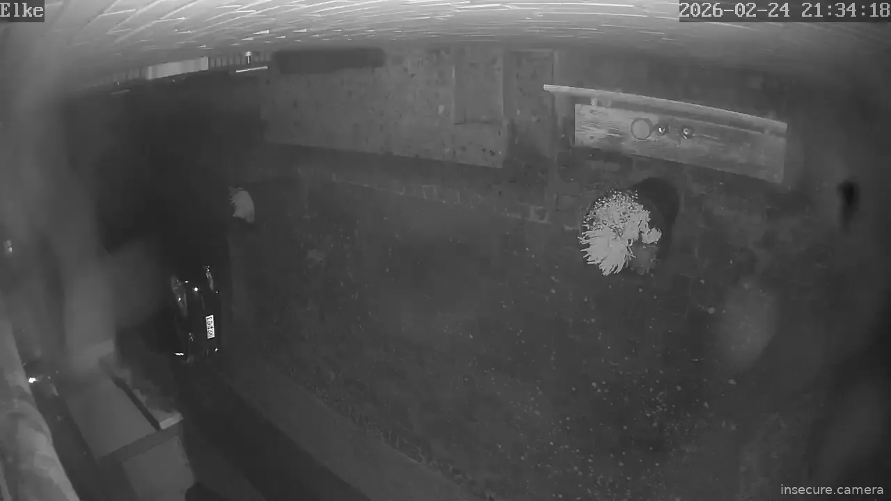 Capture from Feb 24, 2026 at 08:34 PM