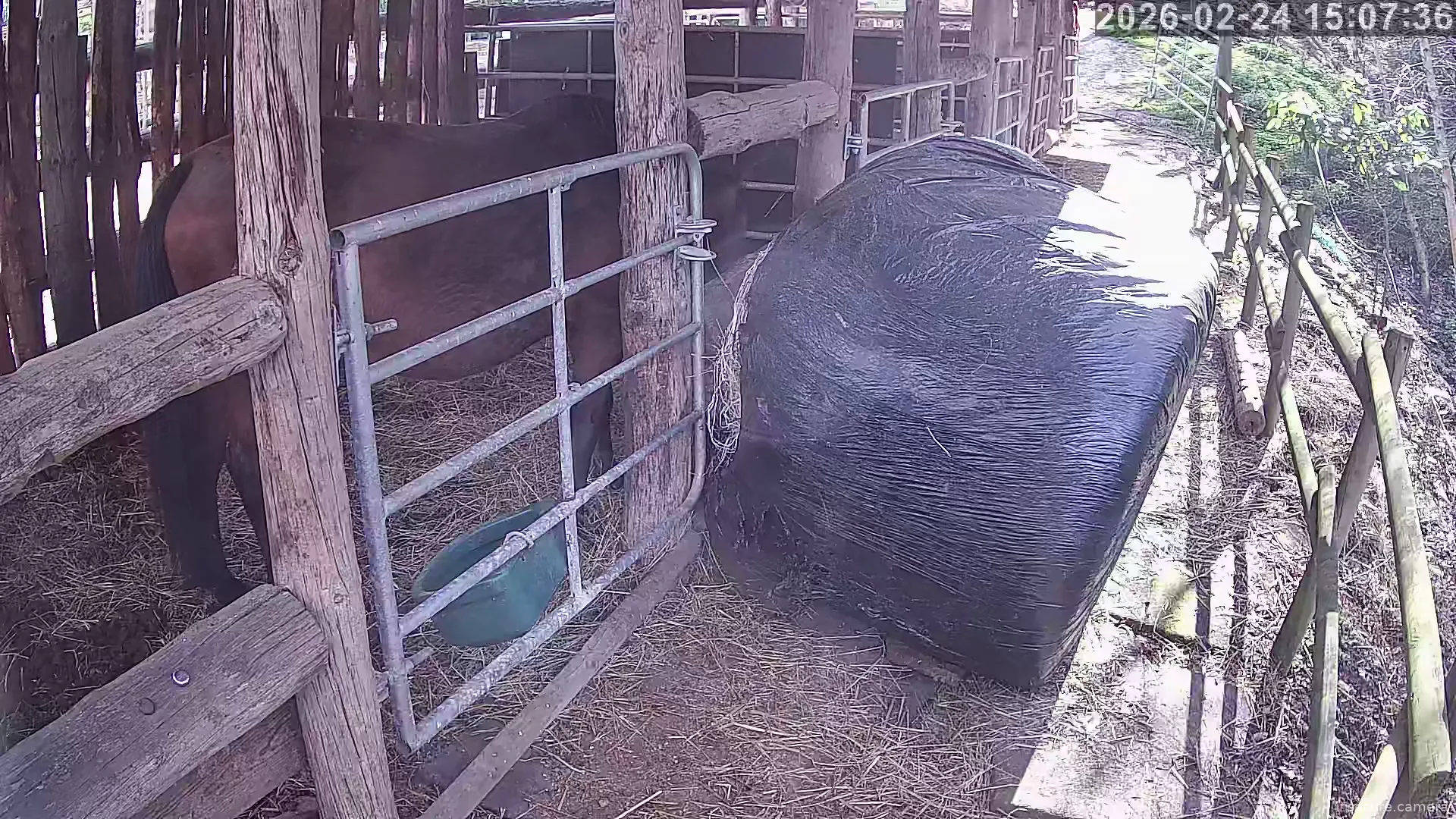 Capture from Feb 24, 2026 at 01:07 PM