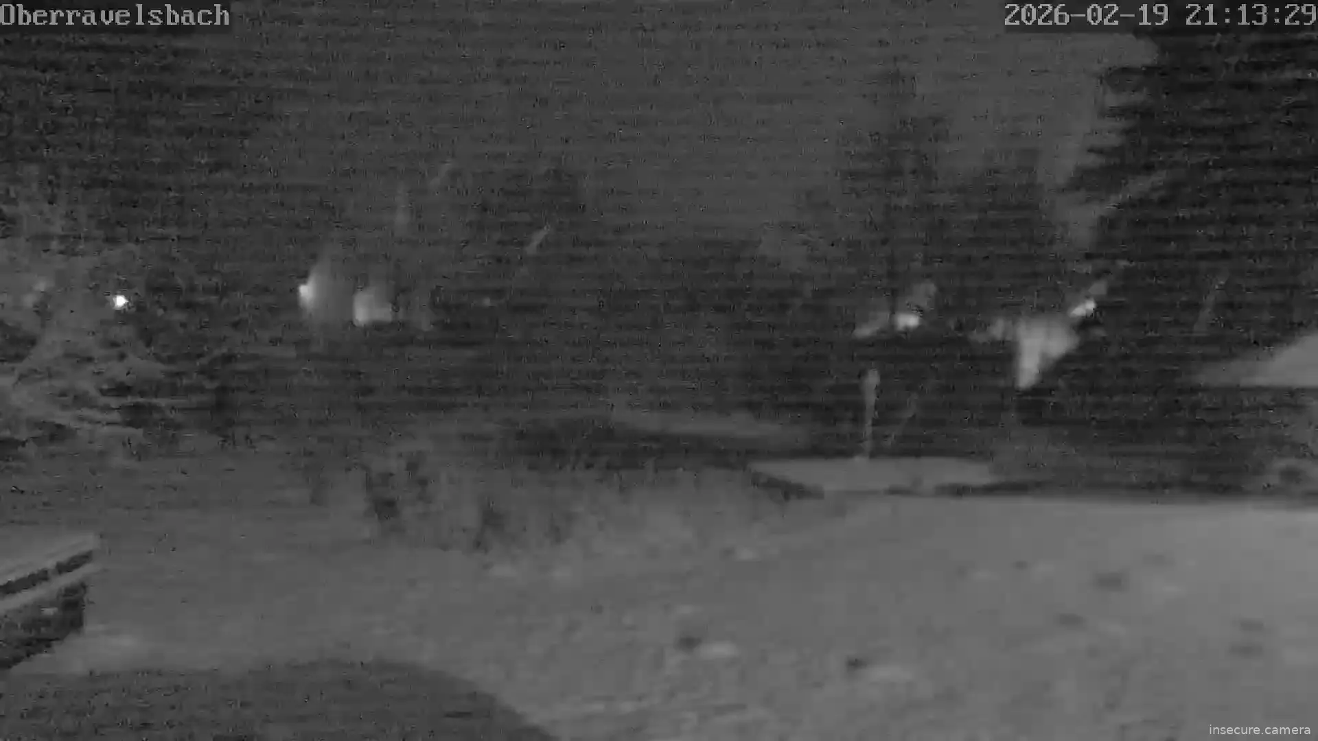 Capture from Feb 19, 2026 at 08:13 PM