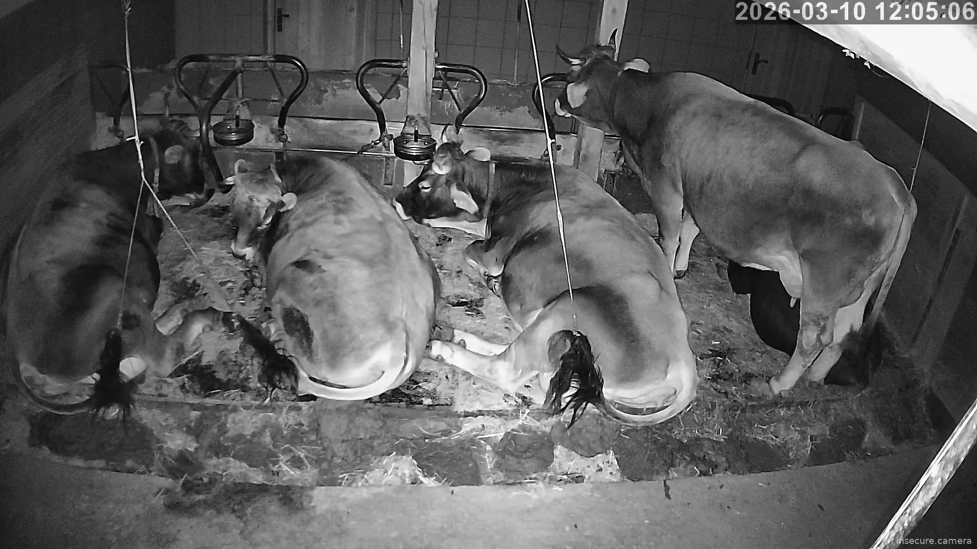 Capture from Mar 10, 2026 at 04:05 AM