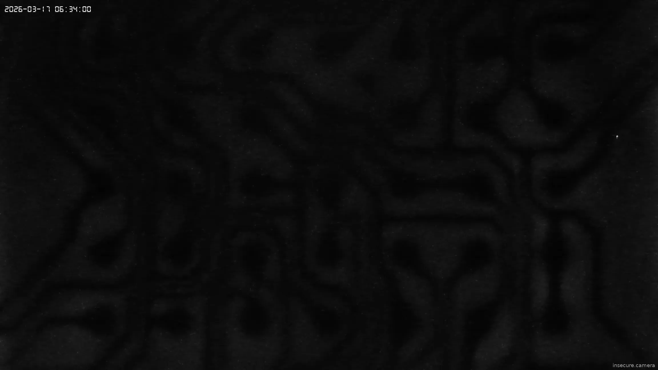 Camera in United States