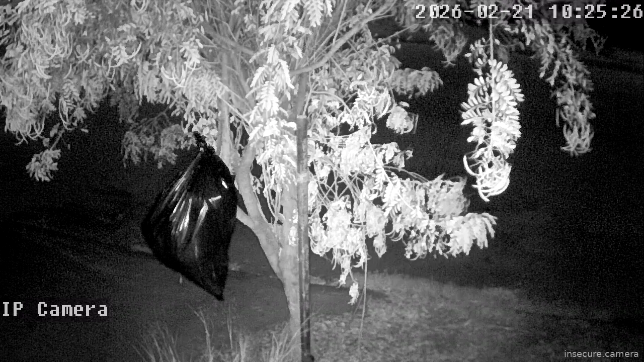 Capture from Feb 21, 2026 at 02:25 AM