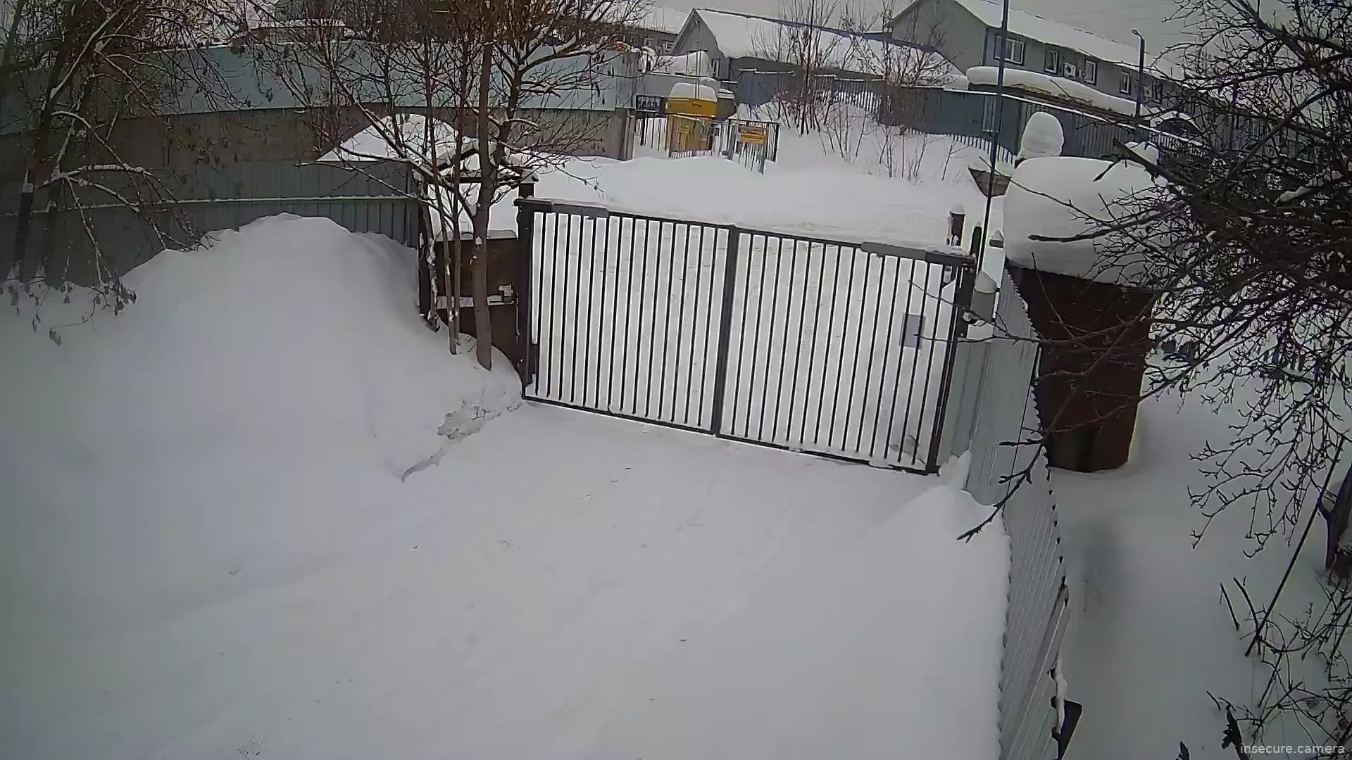 Capture from Feb 20, 2026 at 12:46 PM