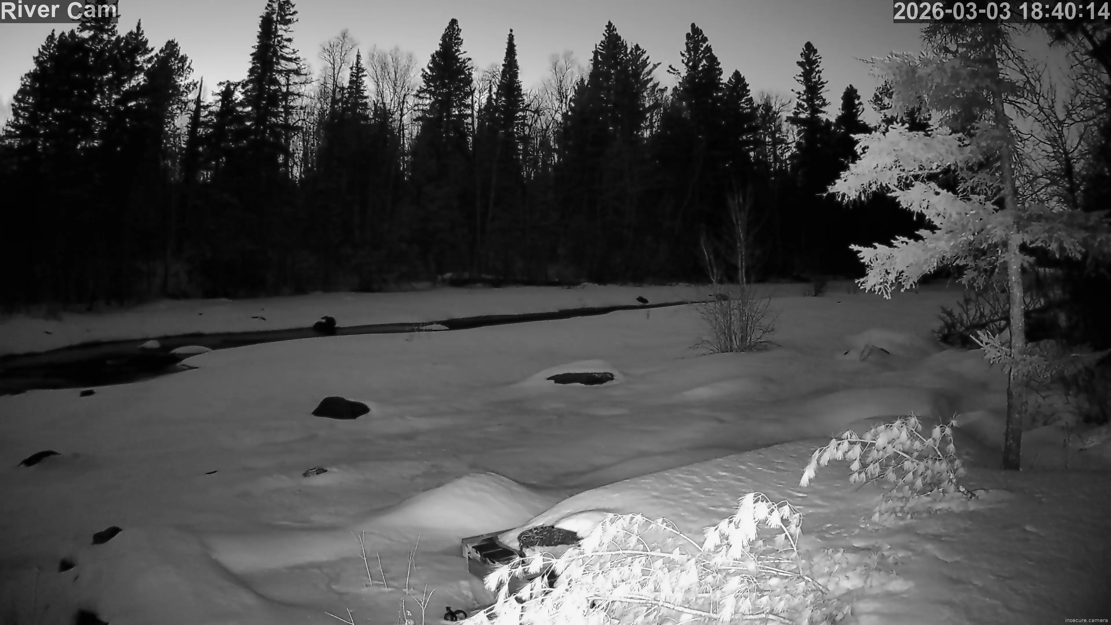 Camera in United States