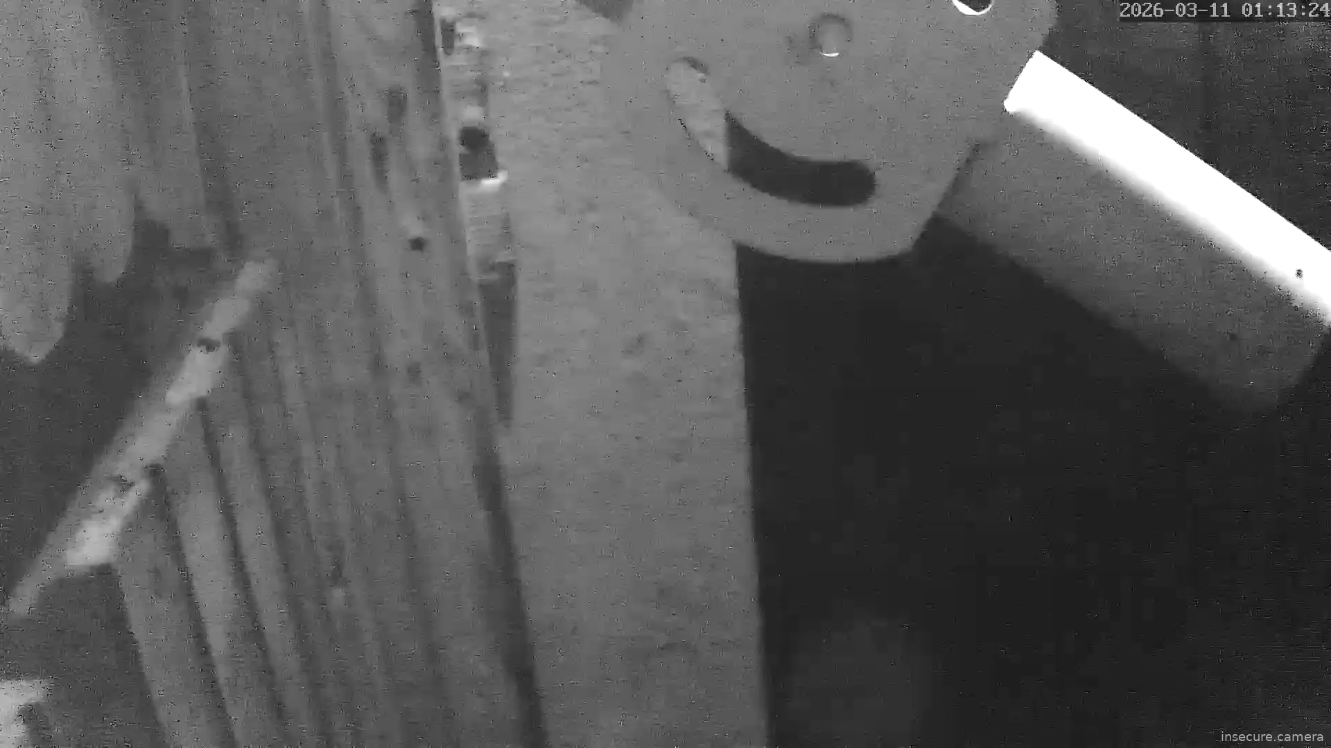 Capture from Mar 10, 2026 at 11:13 PM