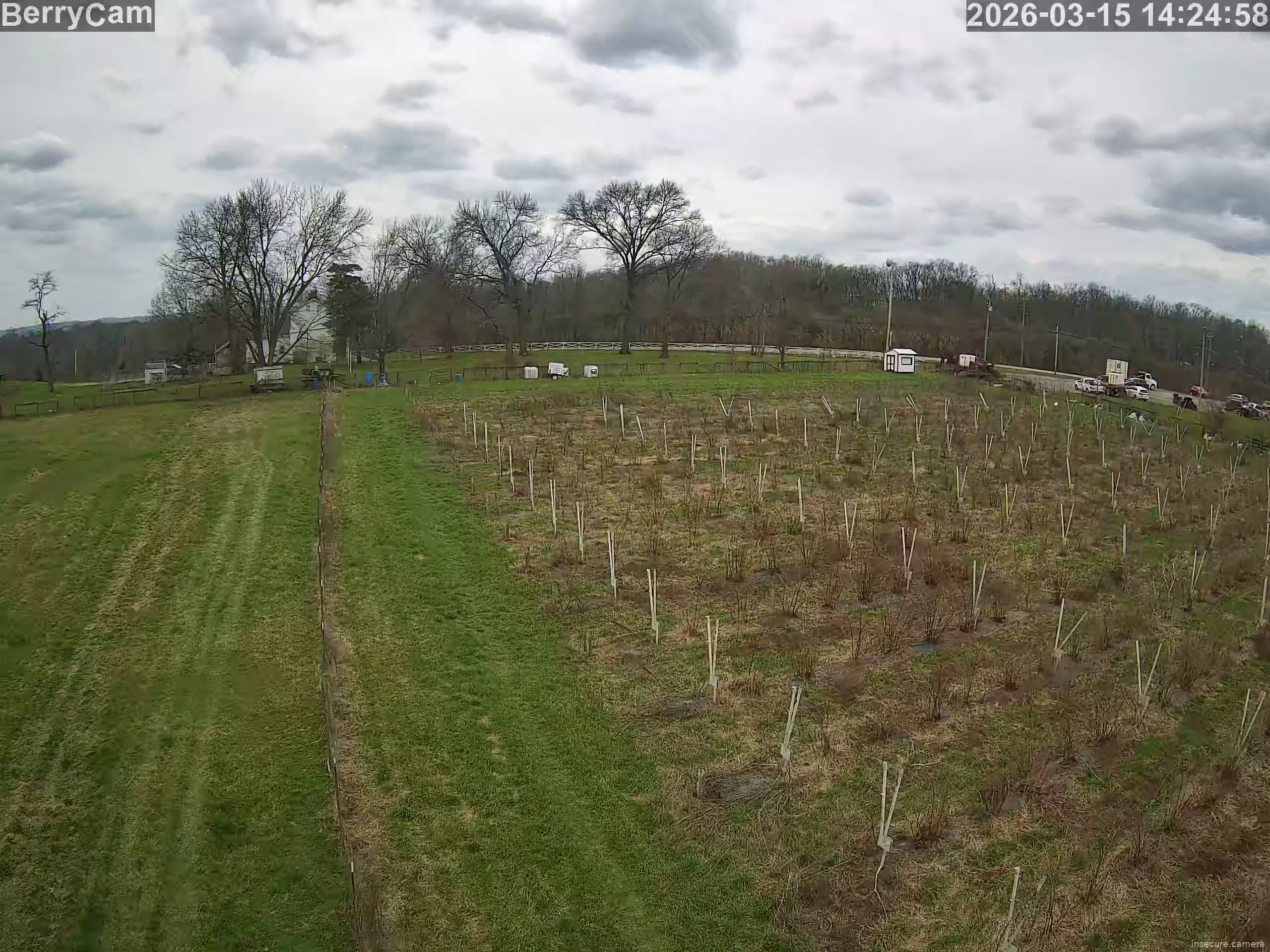 Capture from Mar 15, 2026 at 06:25 PM