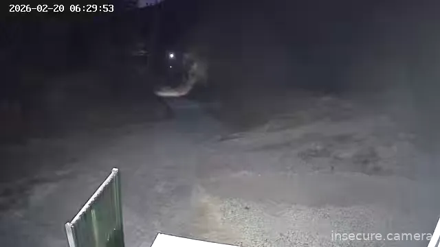 Capture from Feb 19, 2026 at 09:30 PM