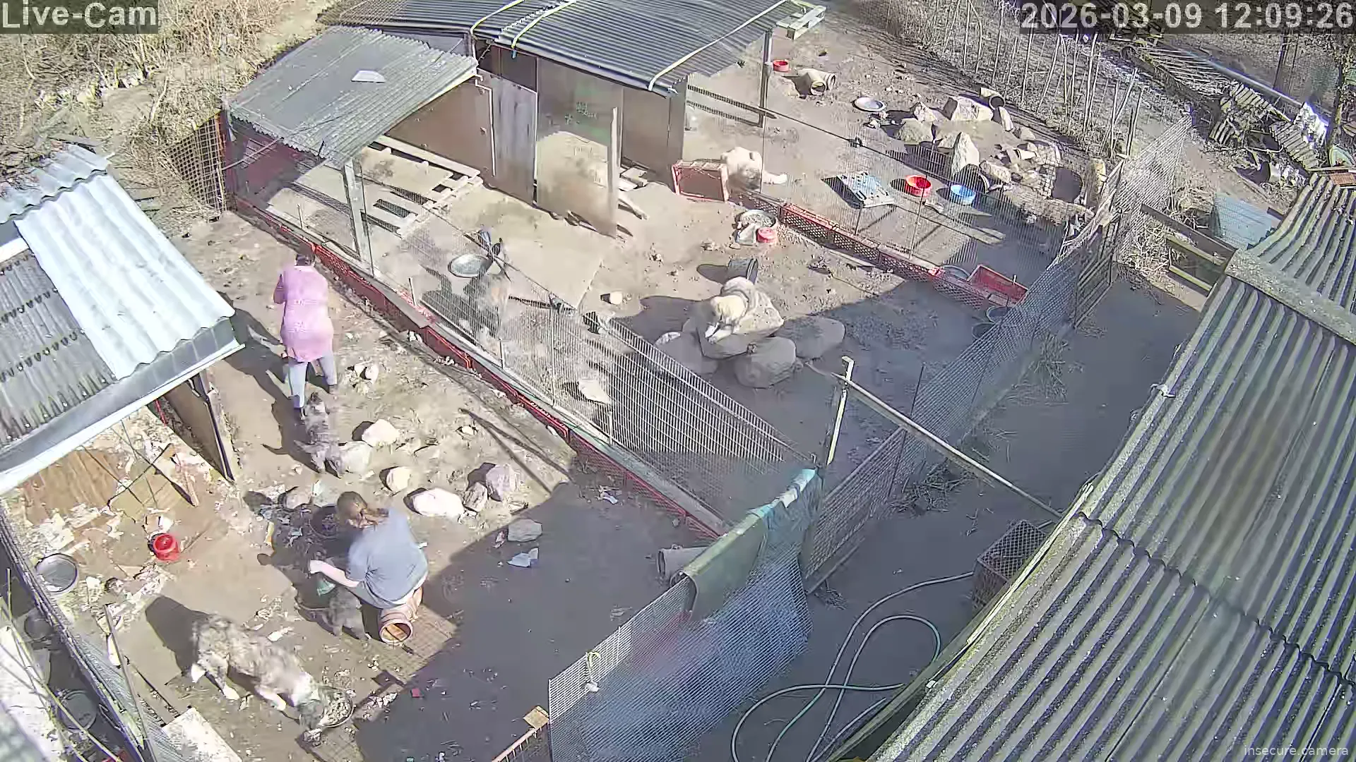 Capture from Mar 09, 2026 at 11:09 AM