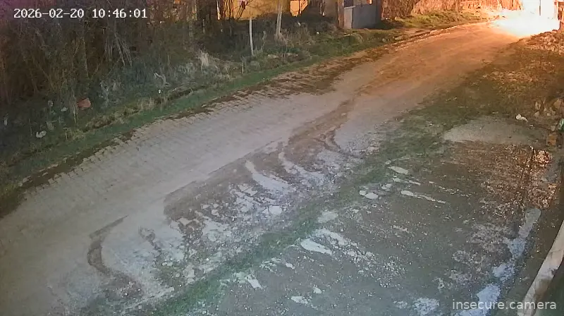 Capture from Feb 20, 2026 at 02:46 AM