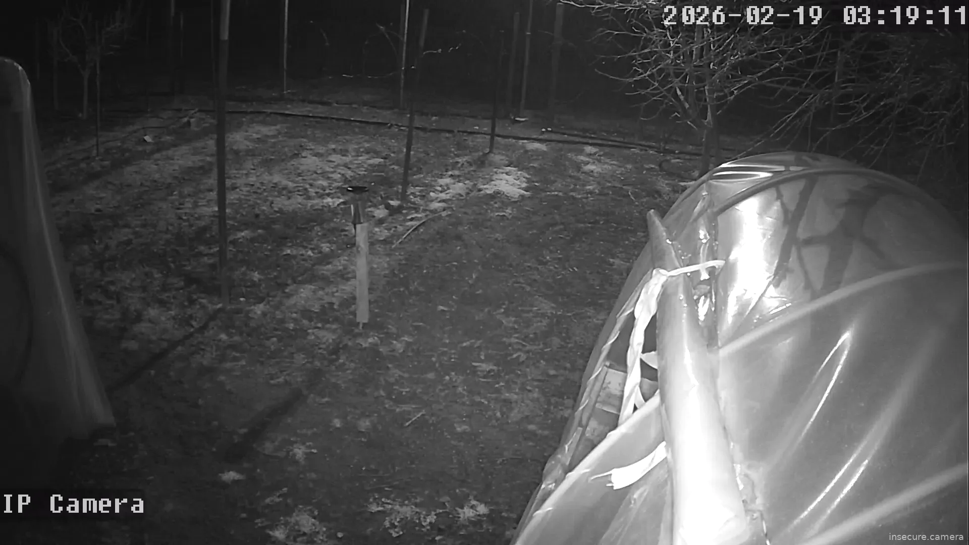 Capture from Feb 19, 2026 at 01:19 AM