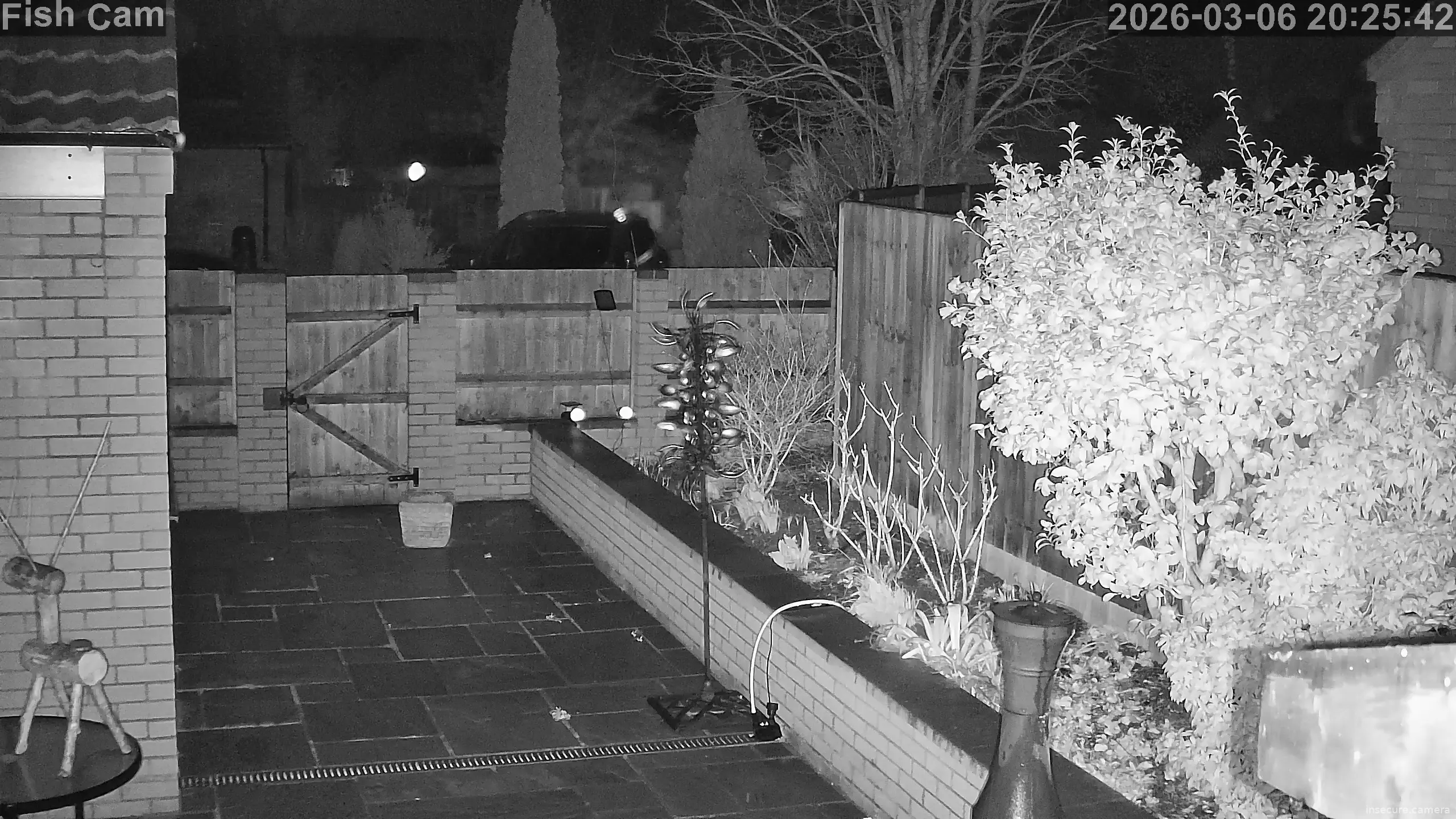 Capture from Mar 06, 2026 at 08:25 PM