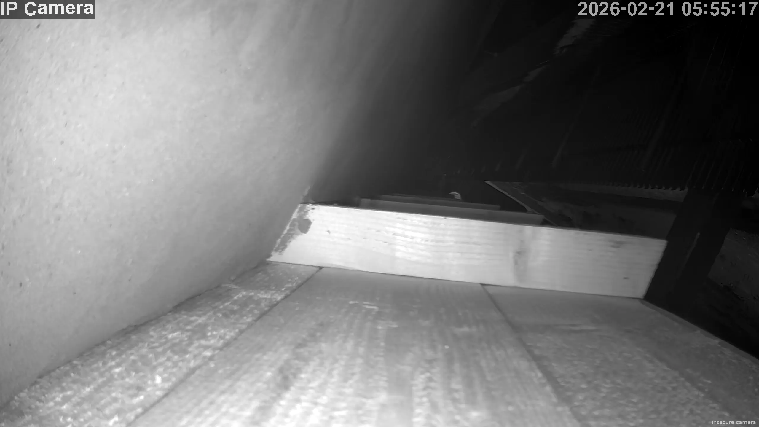 Capture from Feb 21, 2026 at 03:55 AM