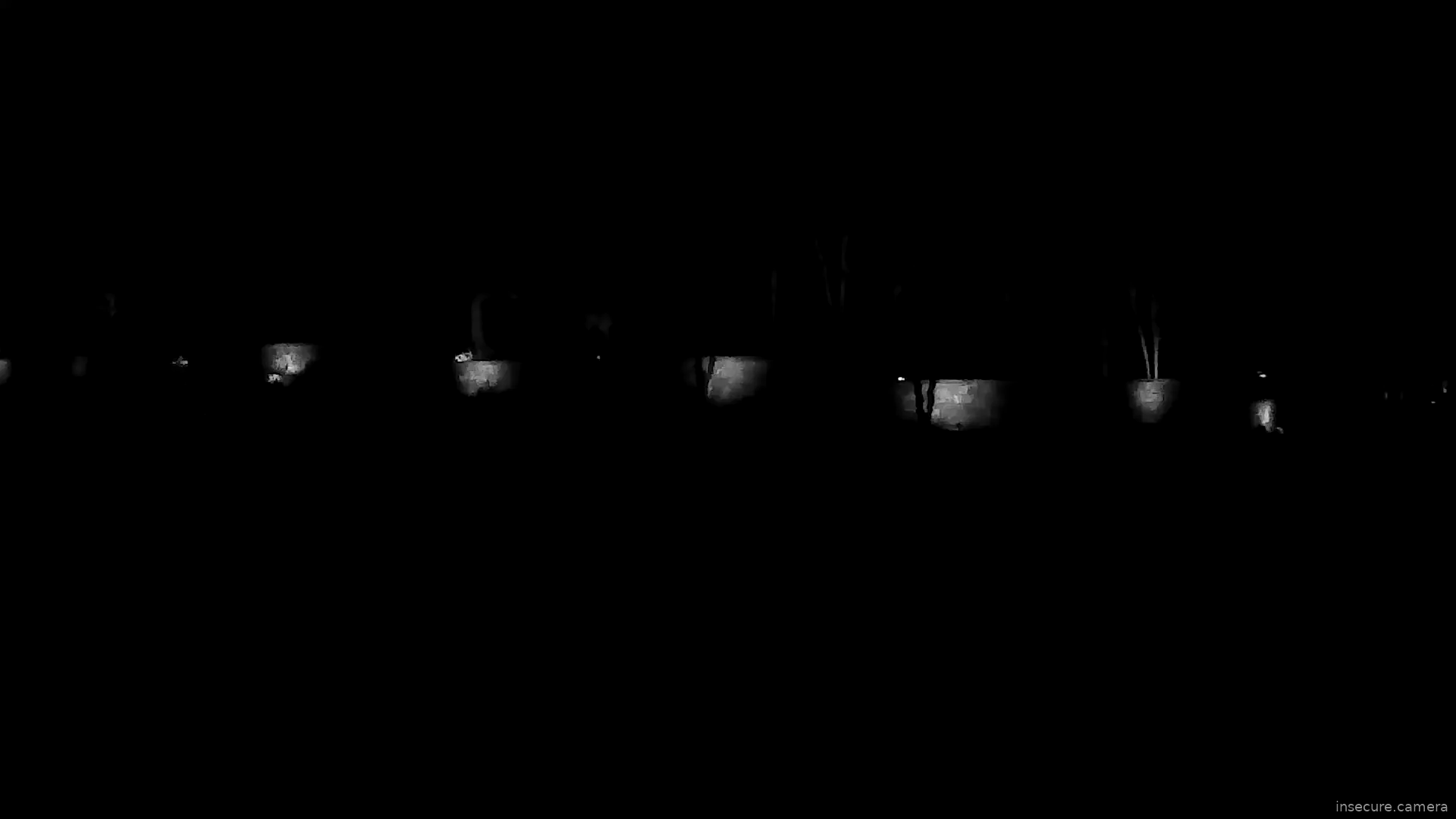 Capture from Feb 28, 2026 at 04:53 AM